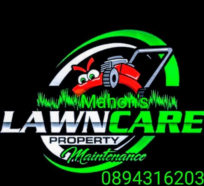 Reliable Service, Affordable price
