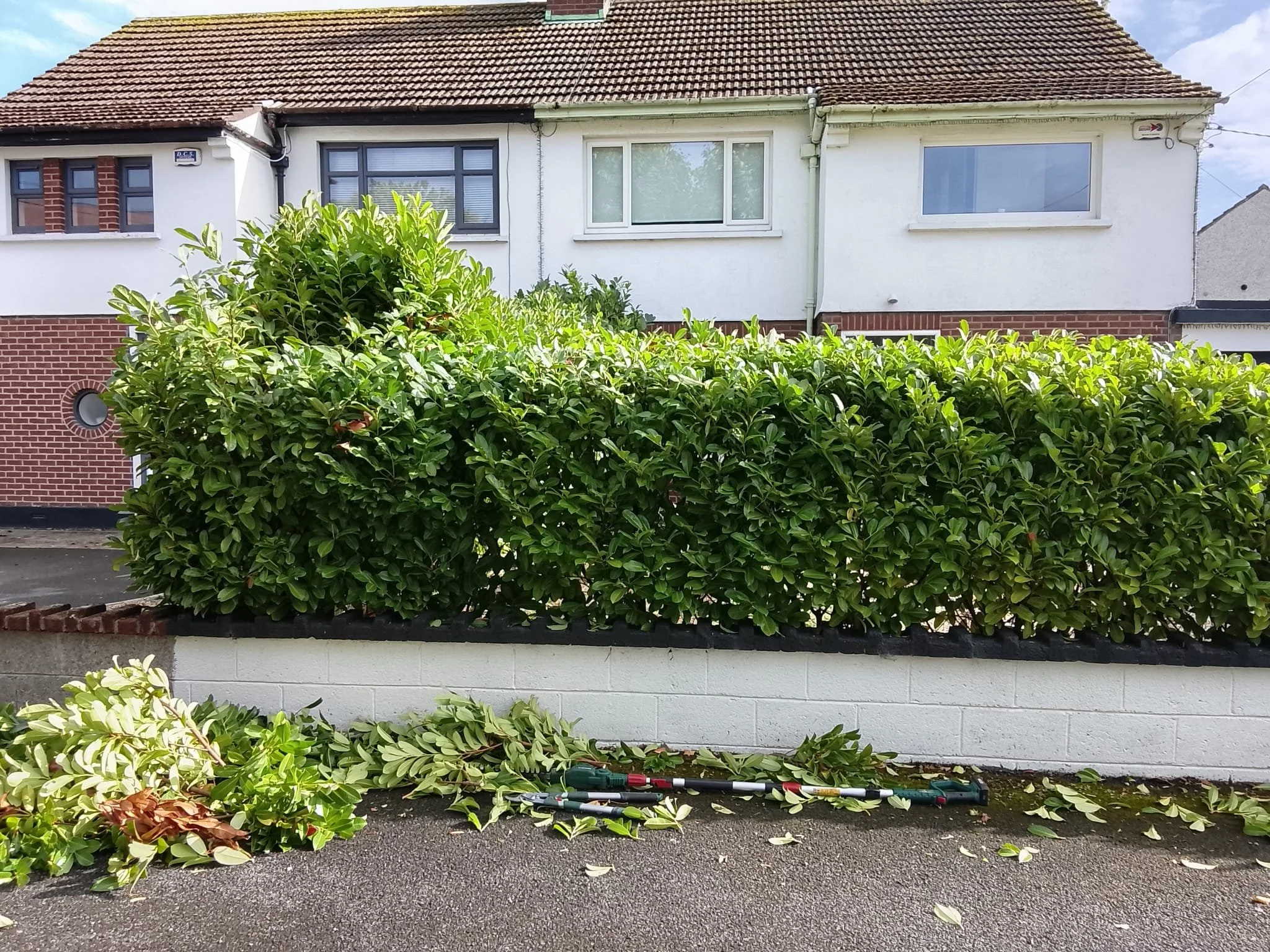 Hedge