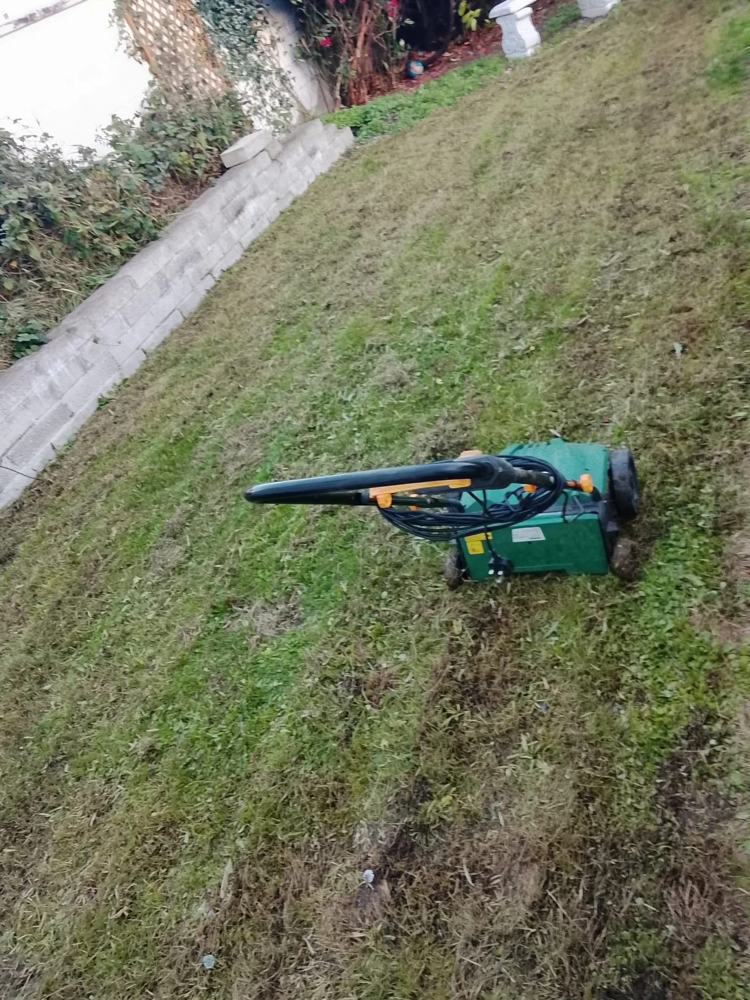 Seeding