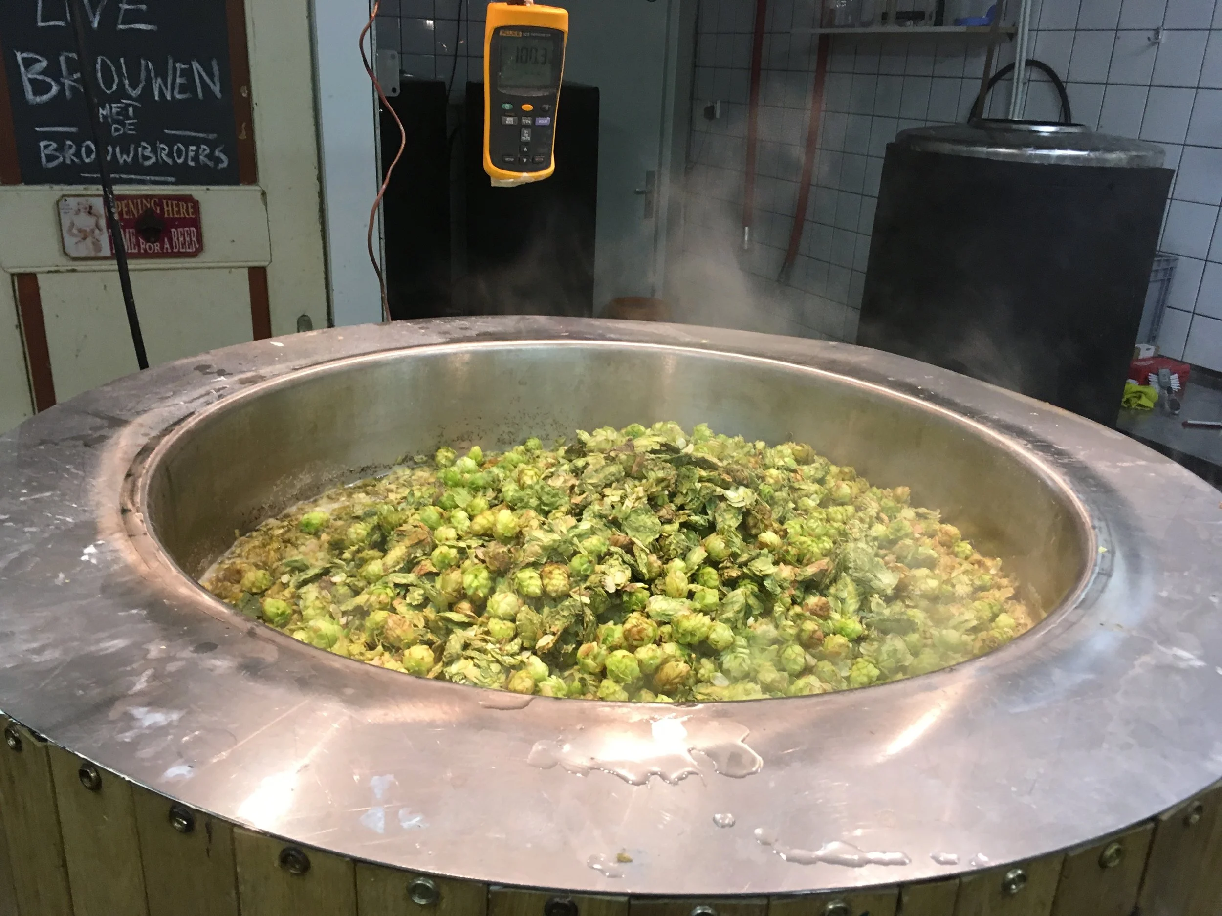 Een grote metalen kom gevuld met geurende hopbollen in een keuken of brouwerij.