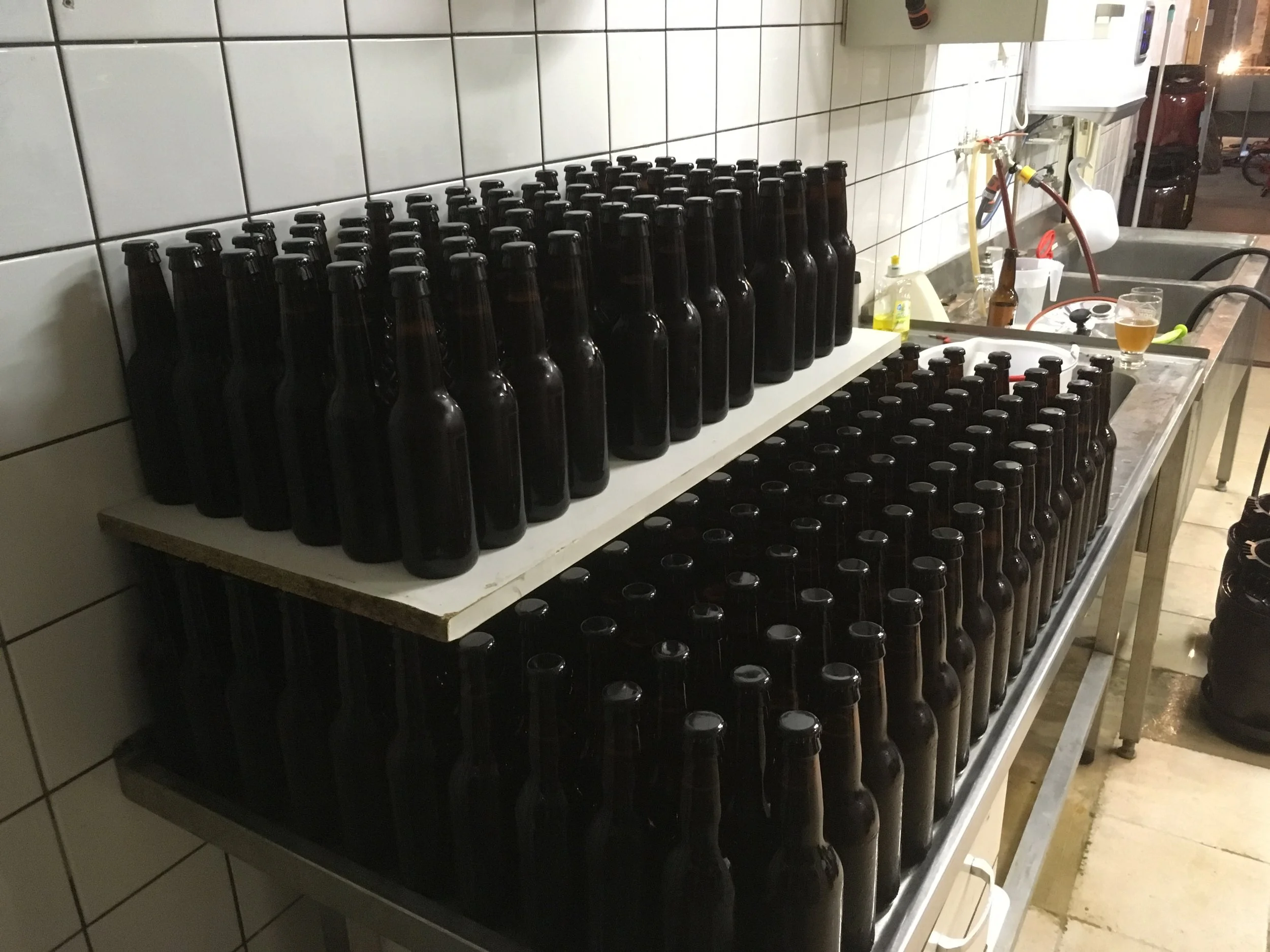 Rijen lege bierflesjes op een tafel in een keuken of brouwerij, met een gootsteen, zeep en keukengerei op de achtergrond.