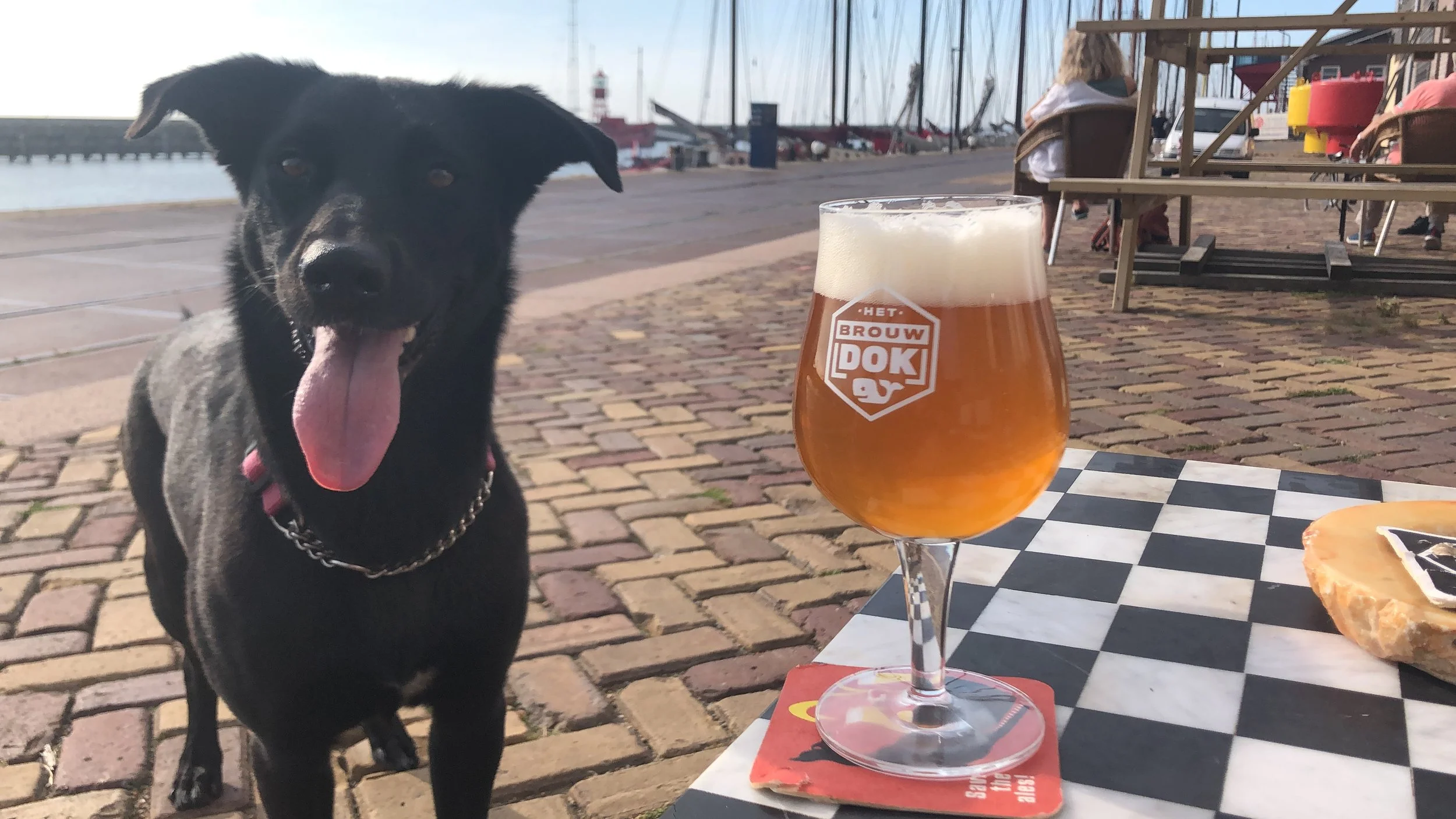 Een zwarte hond met Tong uit de mond en een ketting om de nek, zit naast een glas met bier op een zwart-wit geblokt tafelblad, bij een haven met boten en een woman zittend op de achtergrond.