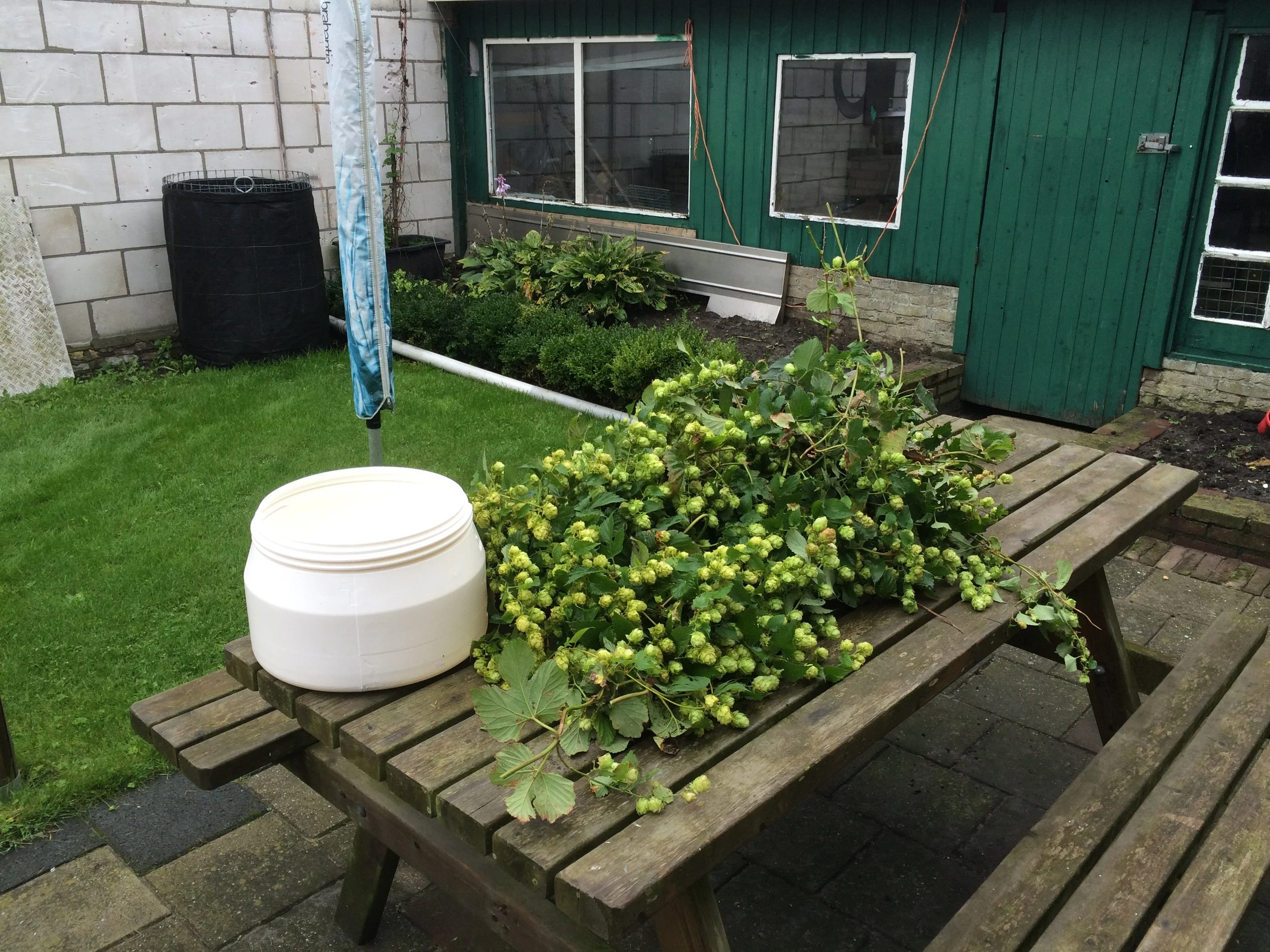 Een houten tuintafel met een boeket groene bloemen en een witte emmer, op een stenen terras. Op de achtergrond staan een groen houten schuur en een muur met ramen.