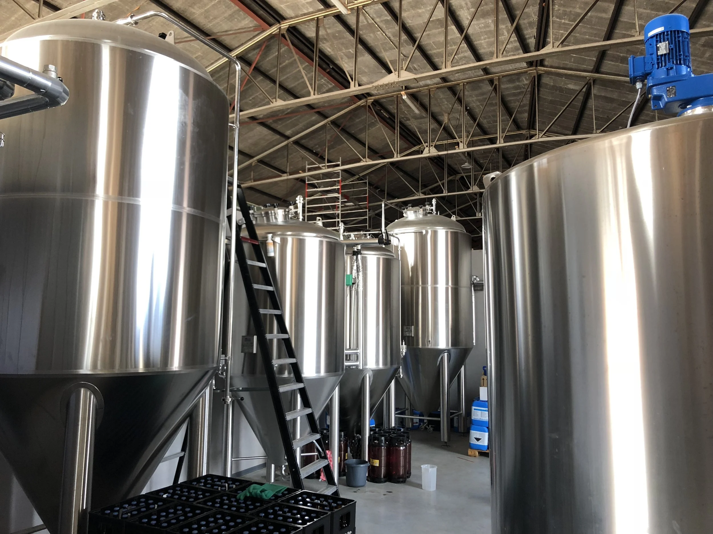 Rvs tanks met een ladder in een industriële setting, mogelijk een brouwerij of productie-omgeving.