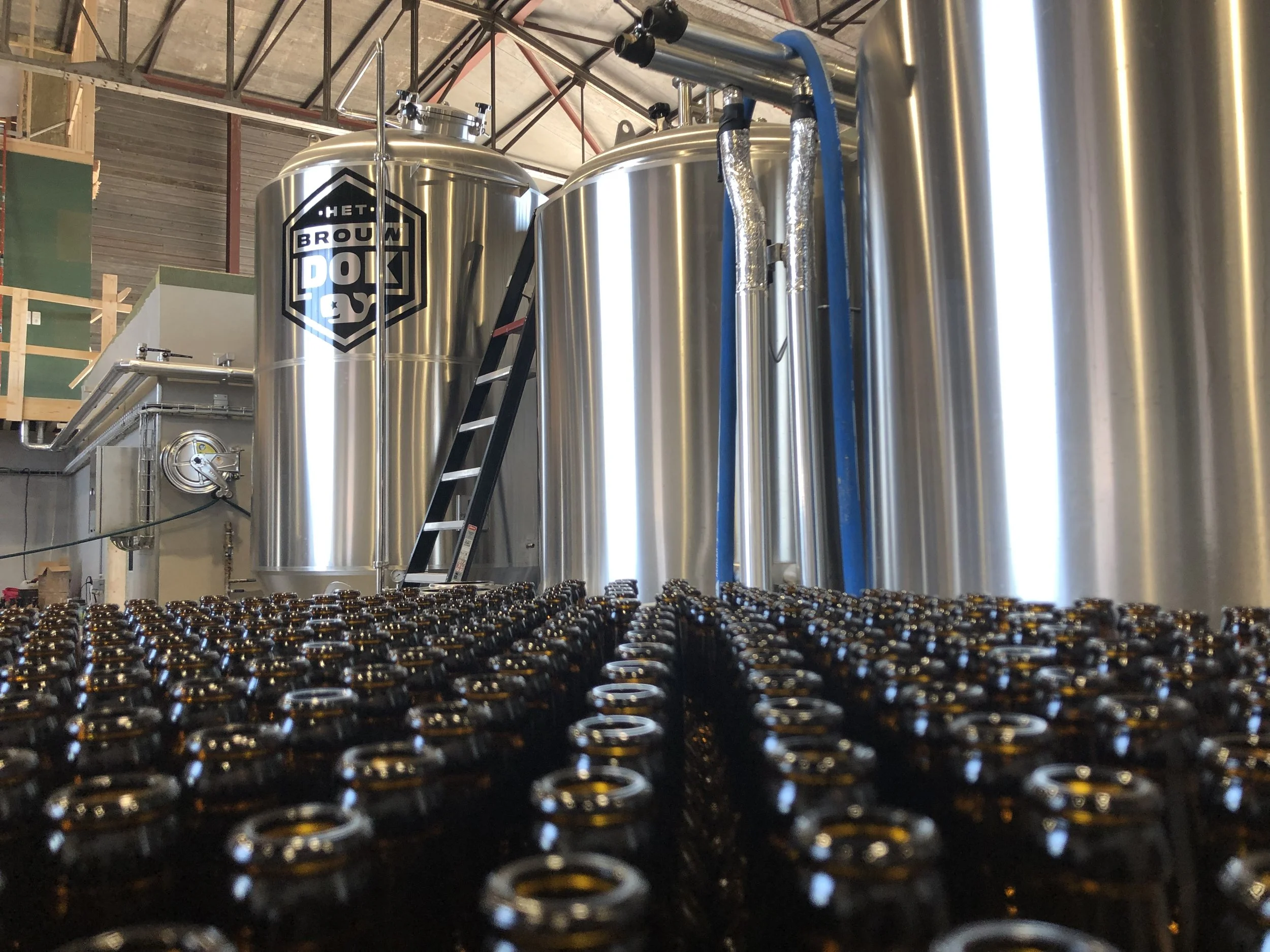 Binnen in een bierbrouwerij staan grote roestvrijstalen fermentatietanks met een ladder ertegenaan, en op de achtergrond worden er flesjes of blikjes gevuld.