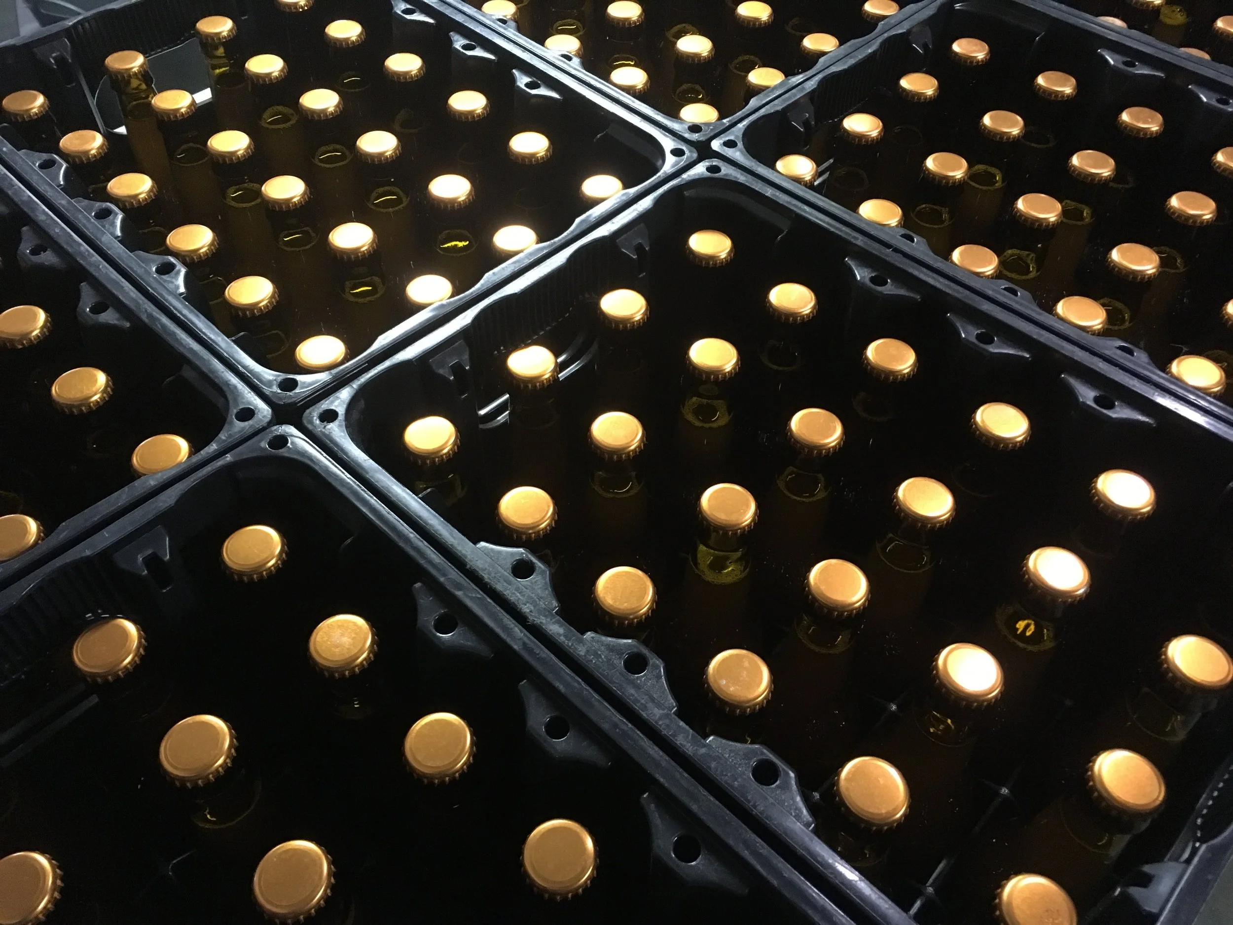 Diverse bierflesjes in kunststof trays.