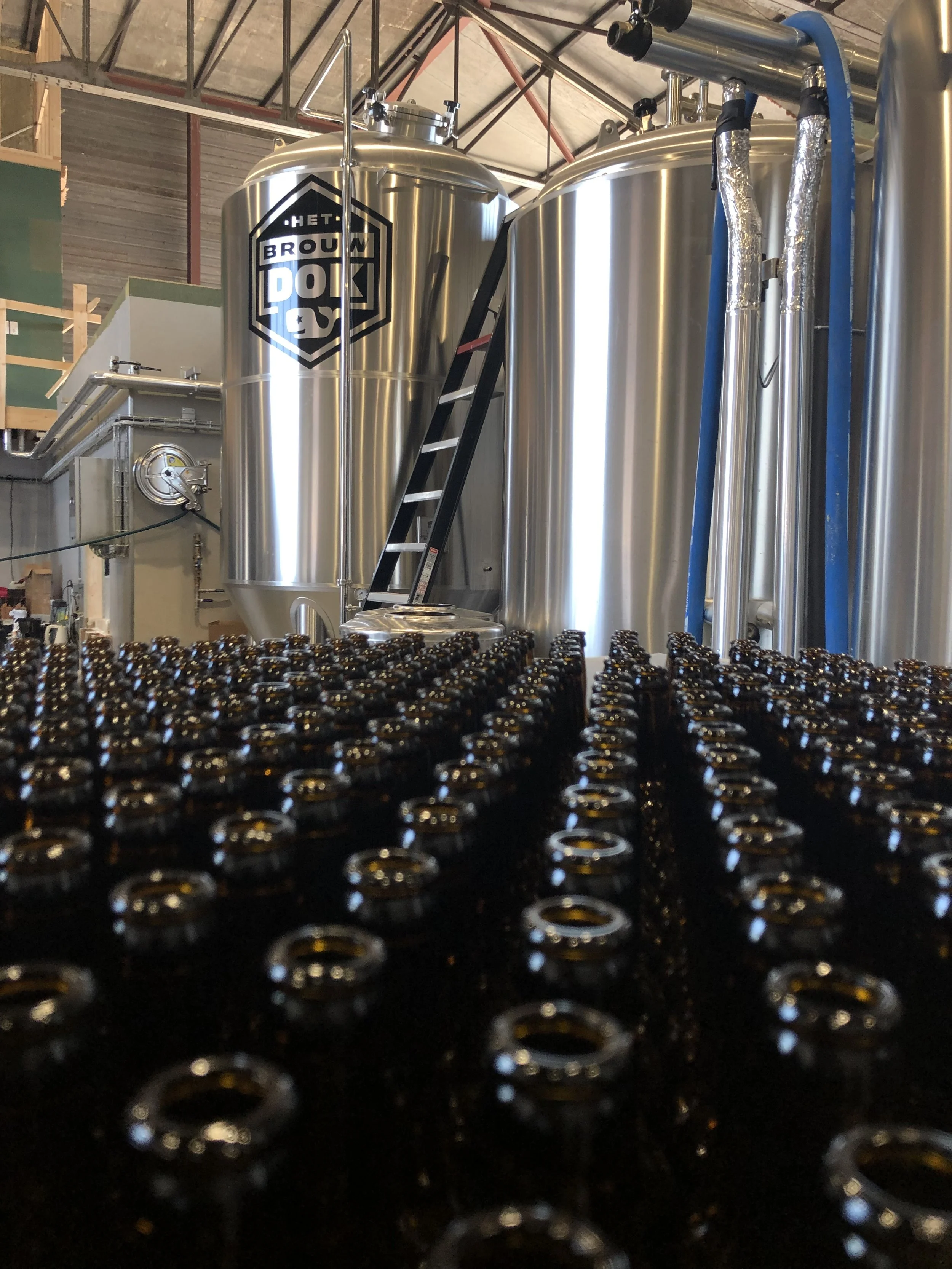 Rij lege donkere bierflesjes op de voorgrond, grote metallic vaten en bijbehorende leidingen op de achtergrond in een brouwerij.