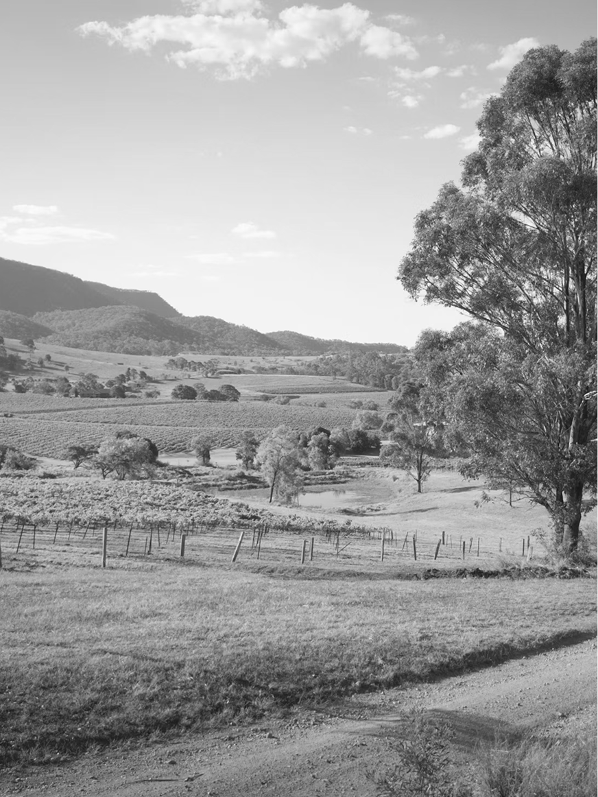 Hunter Valley.png
