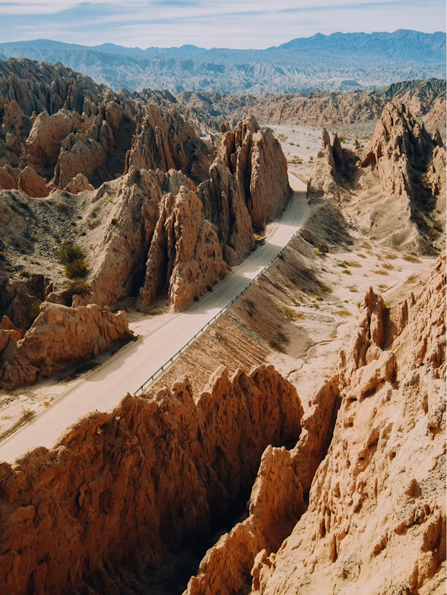 SALTA.png