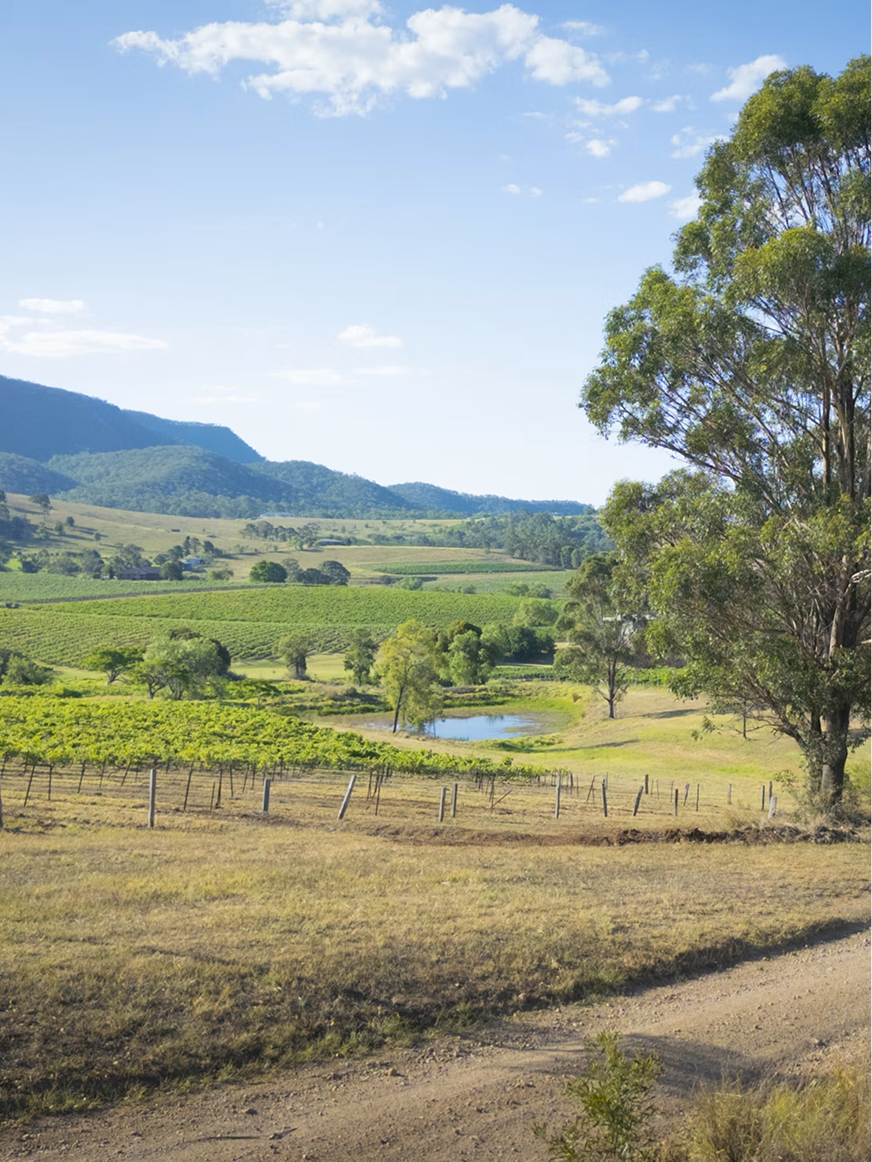 Hunter Valley NSW.png