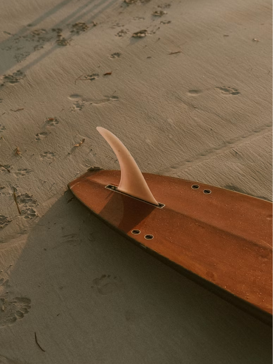 Spot X Surf Camp.png