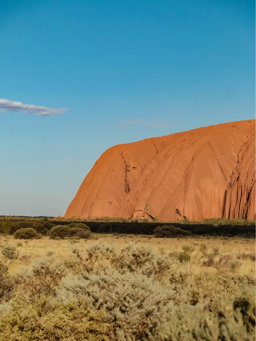 image 81.png