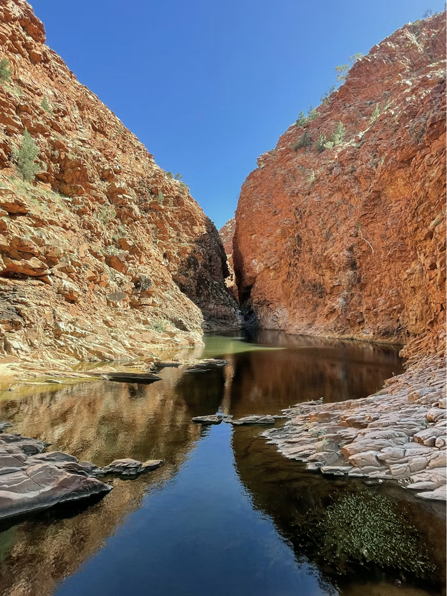 image 83.png