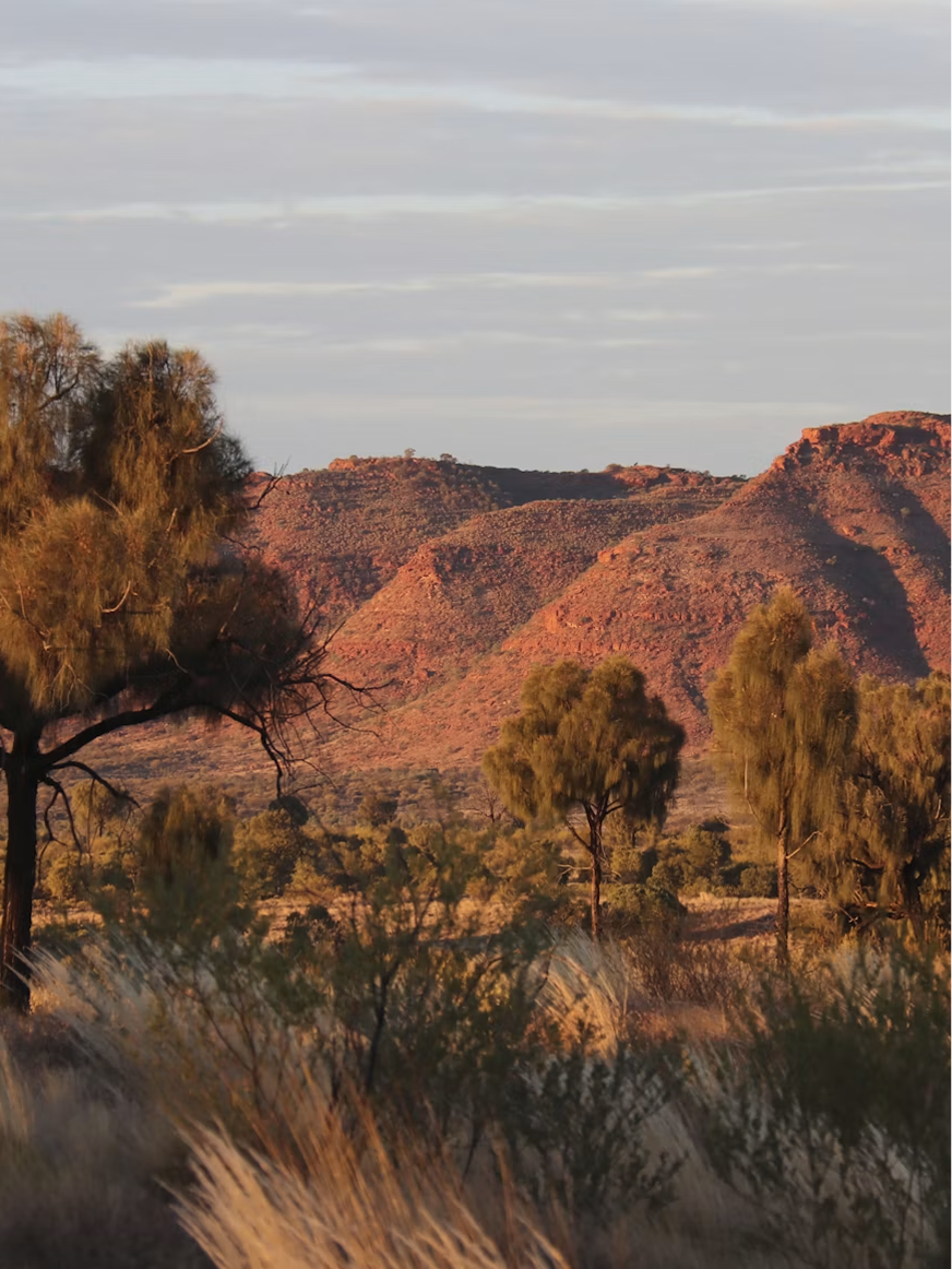 image 87.png