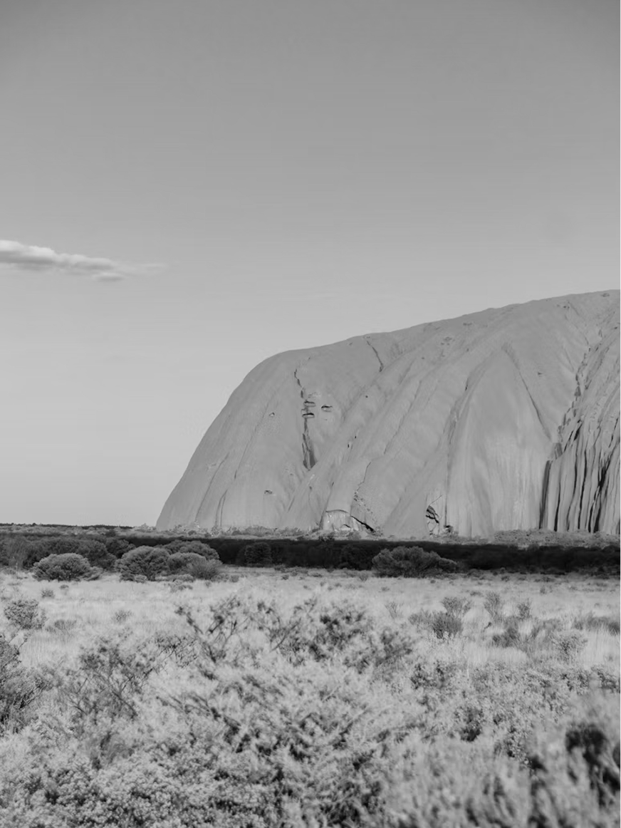 image 80.png