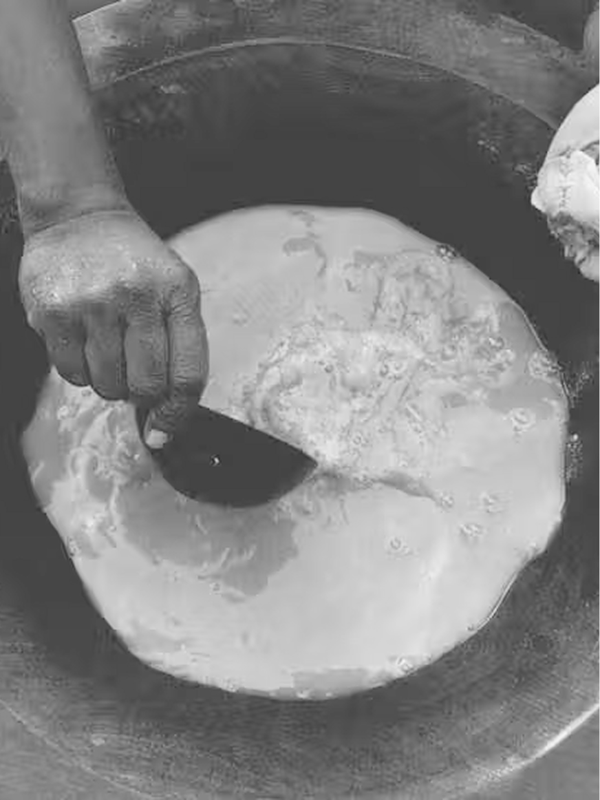 Kava.png