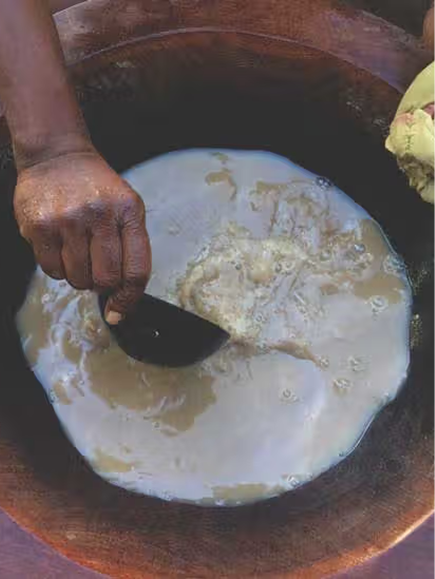 Kava Kava.png