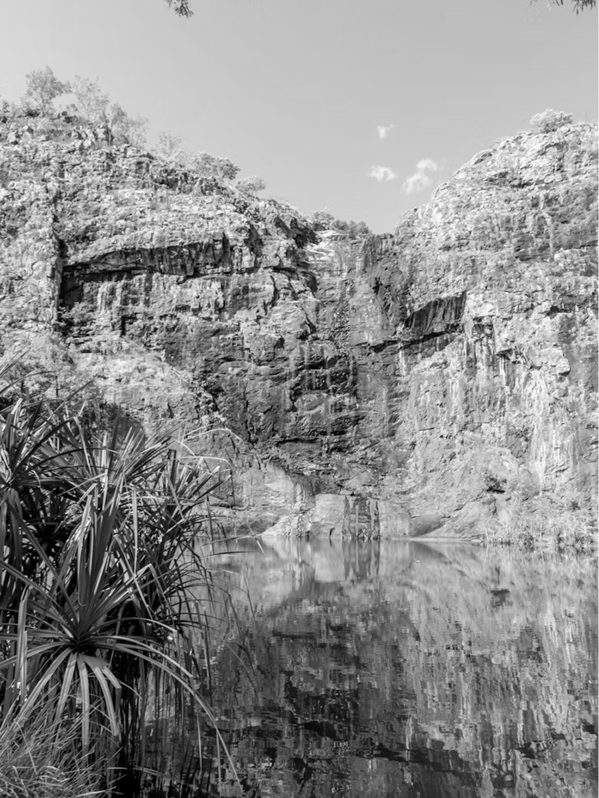 image 84.png