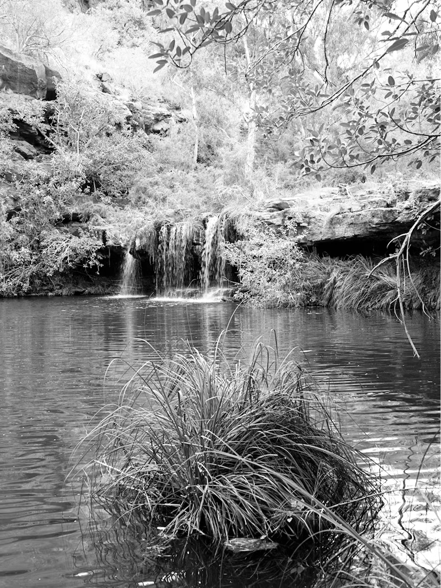 Karijini.png