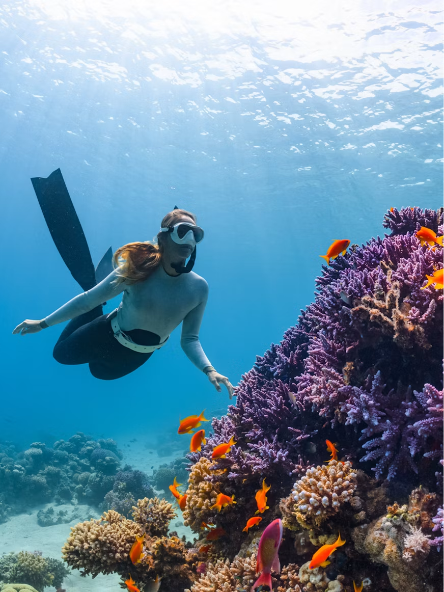 Great Barrier Reef.png