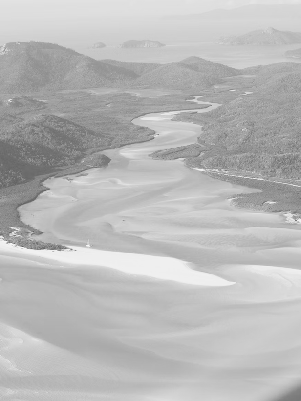image 24.png