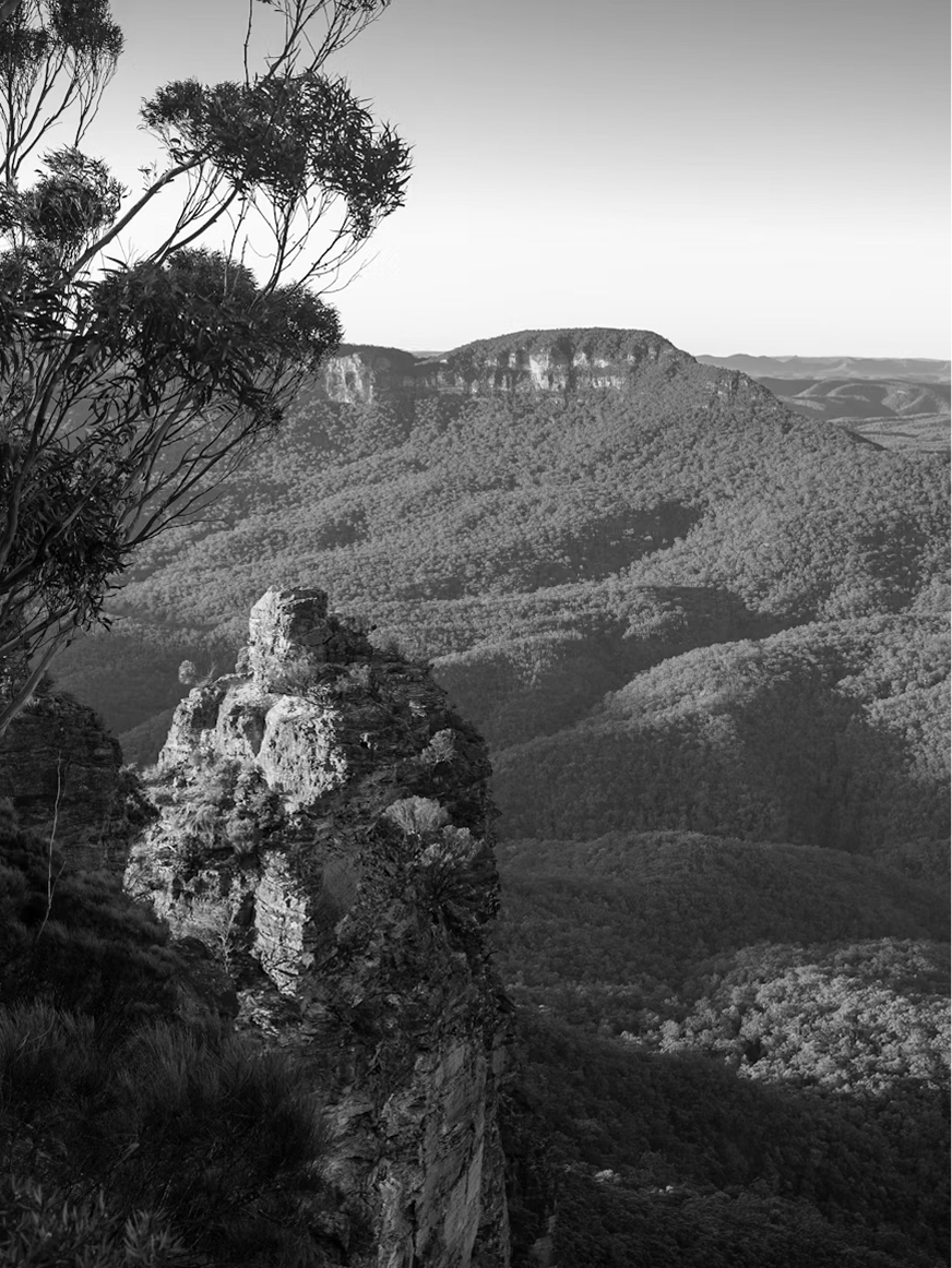 Blue Mountains.png