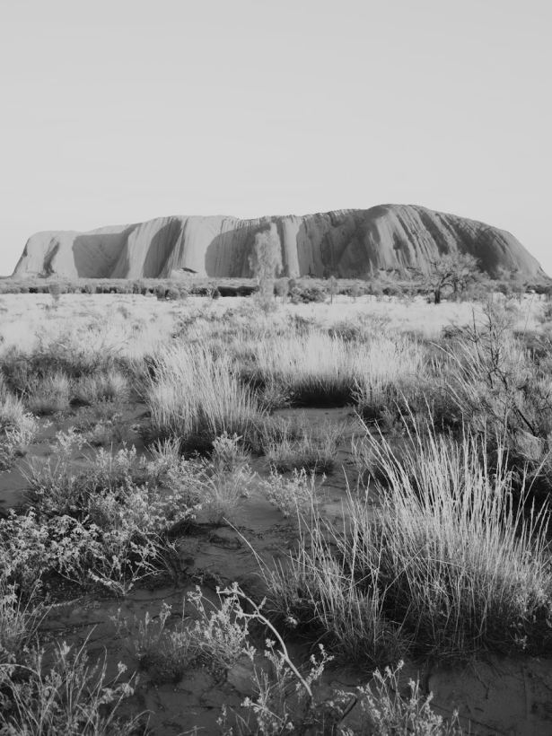 image 27.png