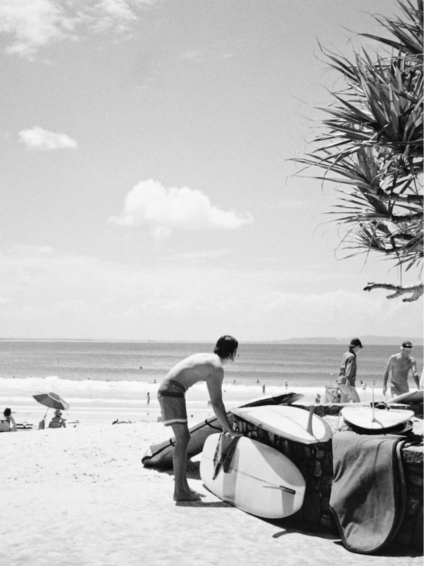 Noosa.png