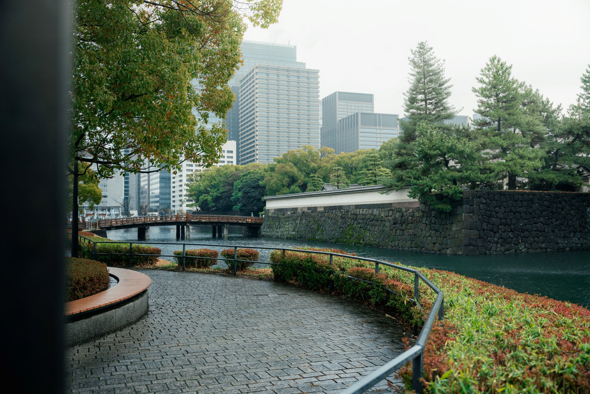IV_04496 - SMALLER.jpg