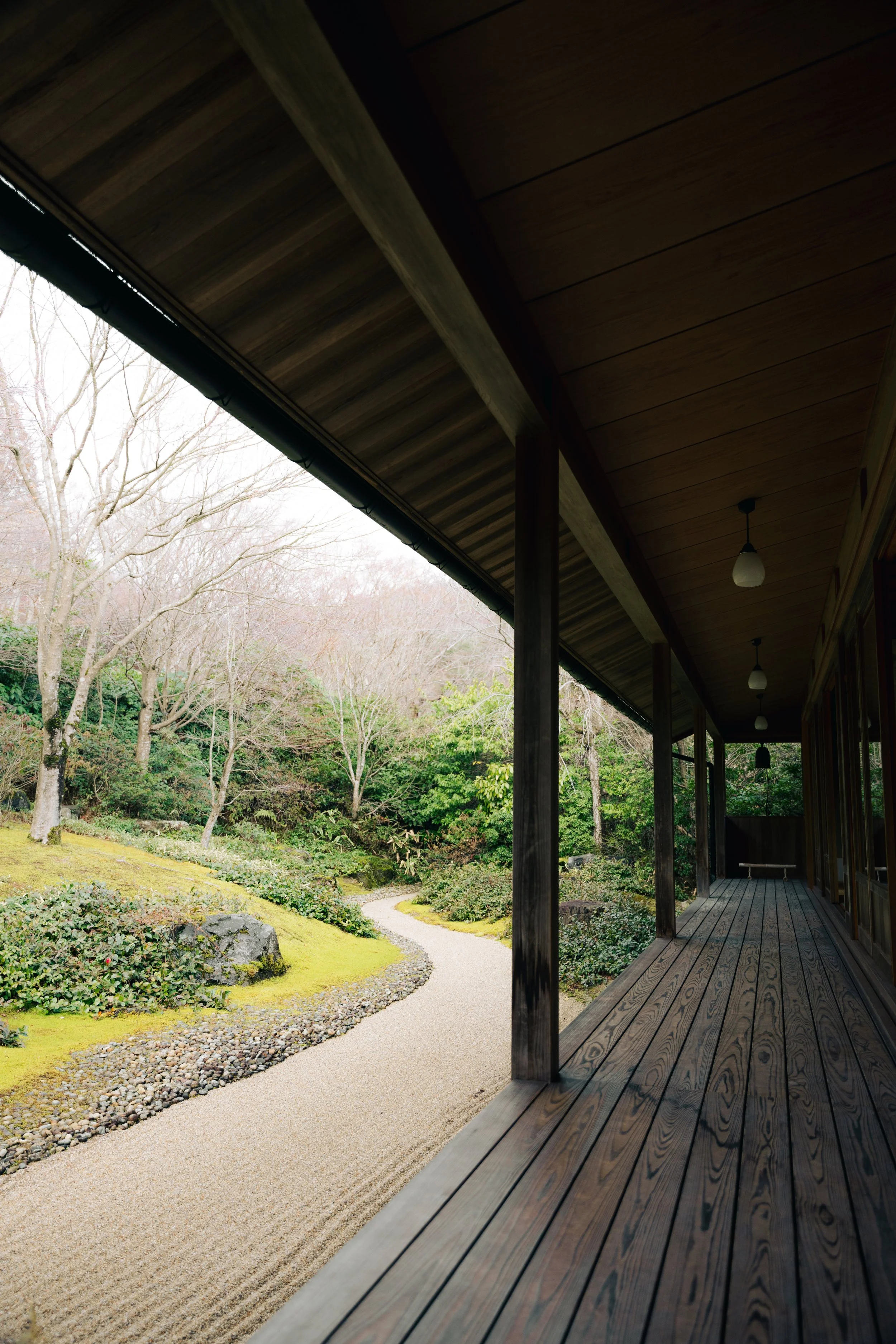 IV_05812.jpg