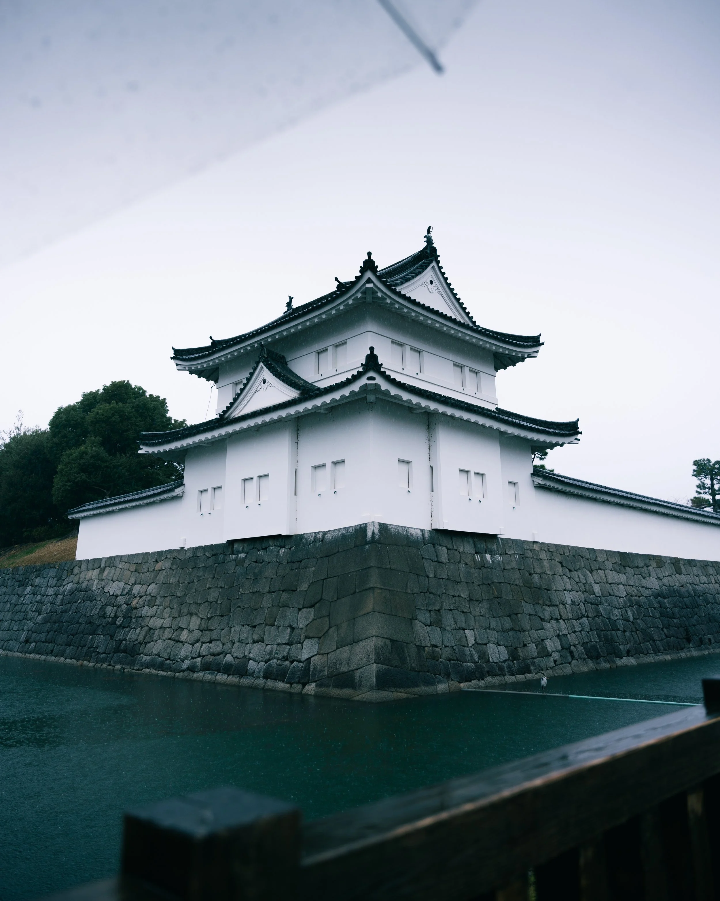 IV_05578.jpg