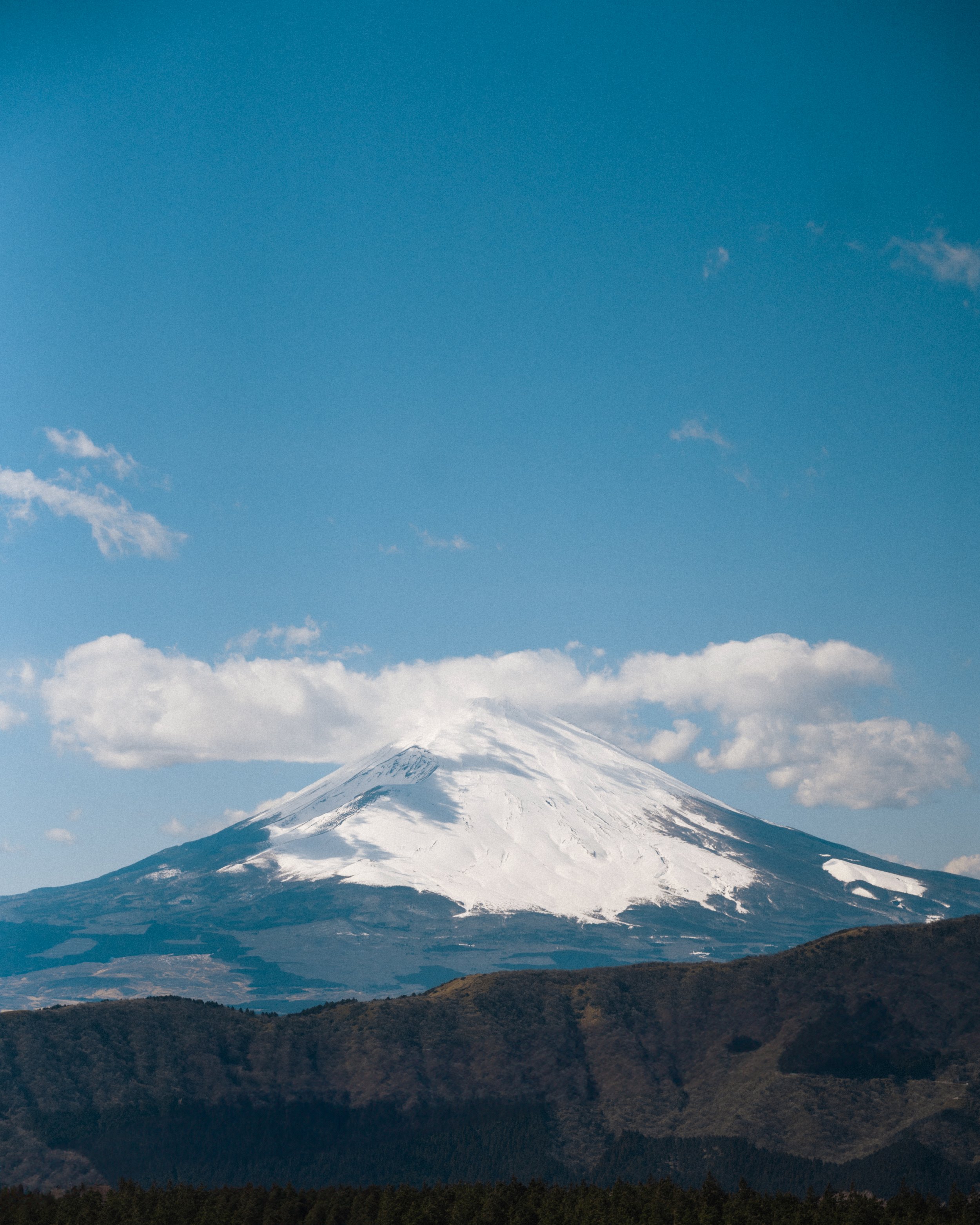 IV_05415-Edit.jpg