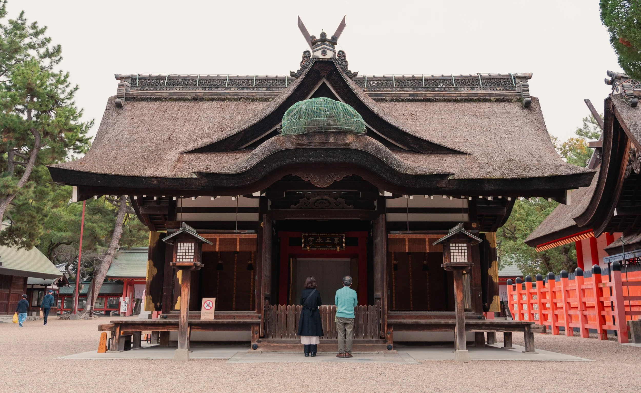 IV_06204-Edit.jpg