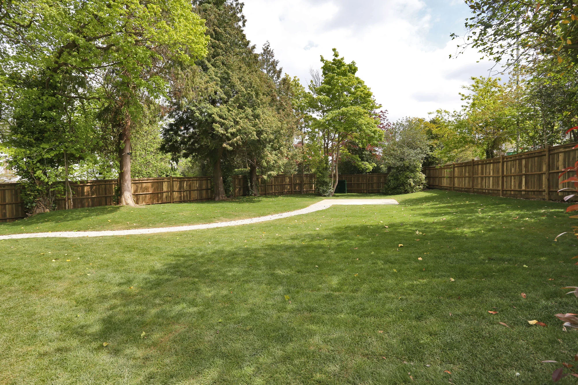 Lansdowne Road garden 