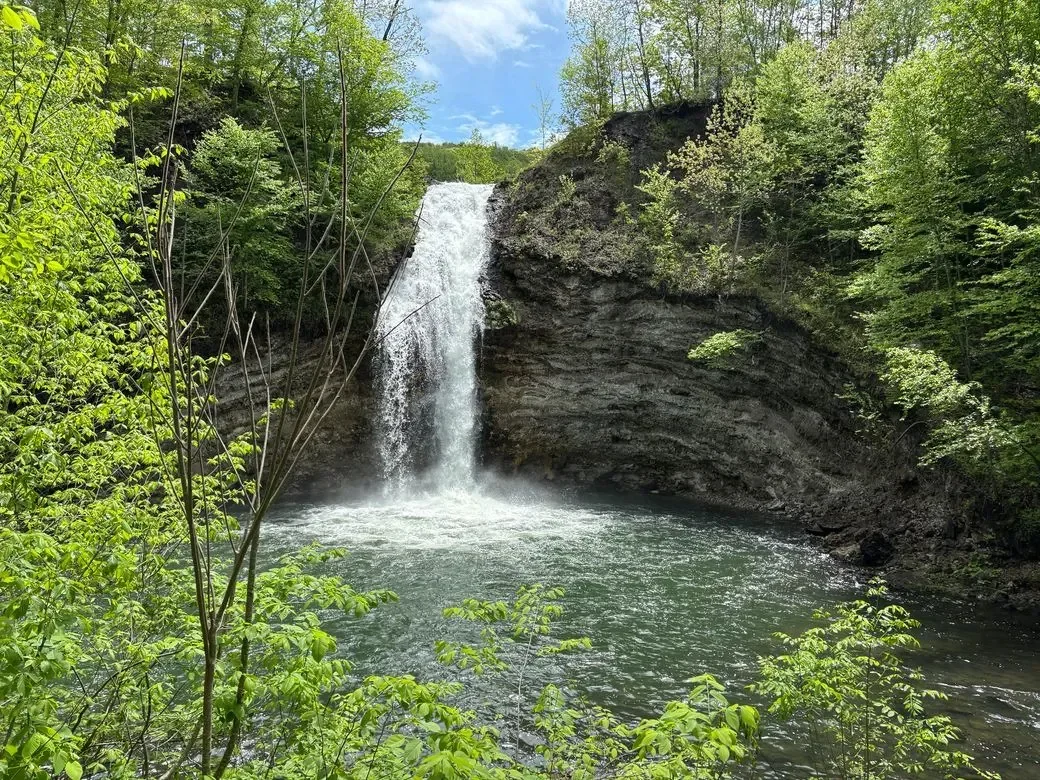 The Medicine of Water: Nourishing the Mind, Body, and Spirit