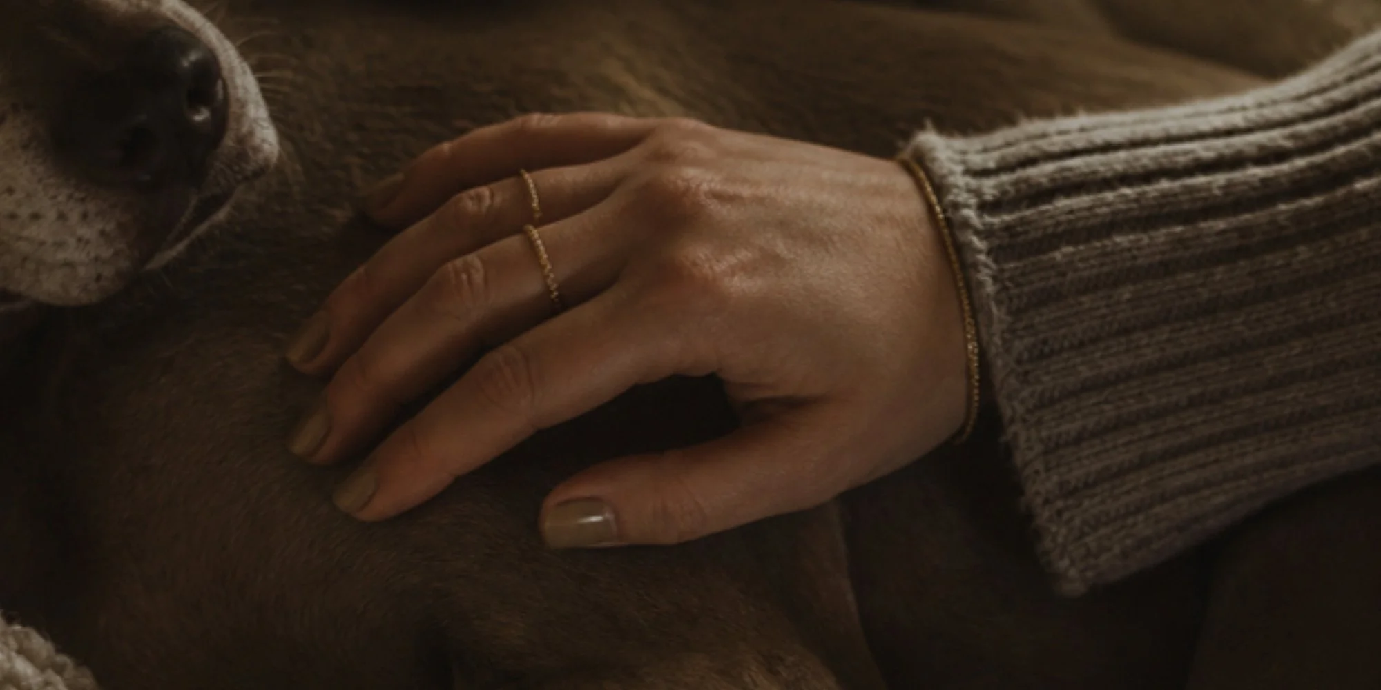 A hand resting gently on a relaxed dog on a wool blanket