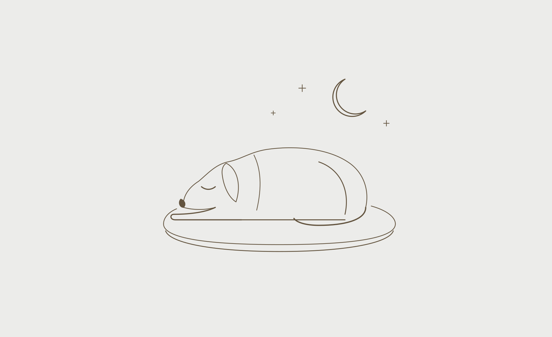 Line drawing of a dog asleep on a cushion under a crescent moon