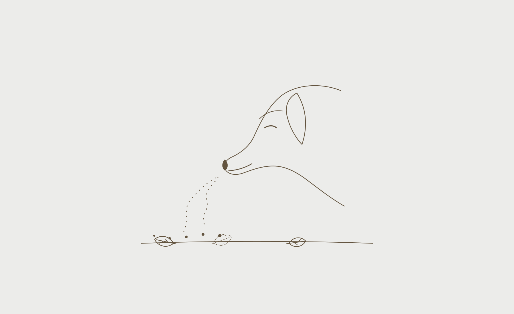 Line drawing of a dog following a scent trail across autumn leaves