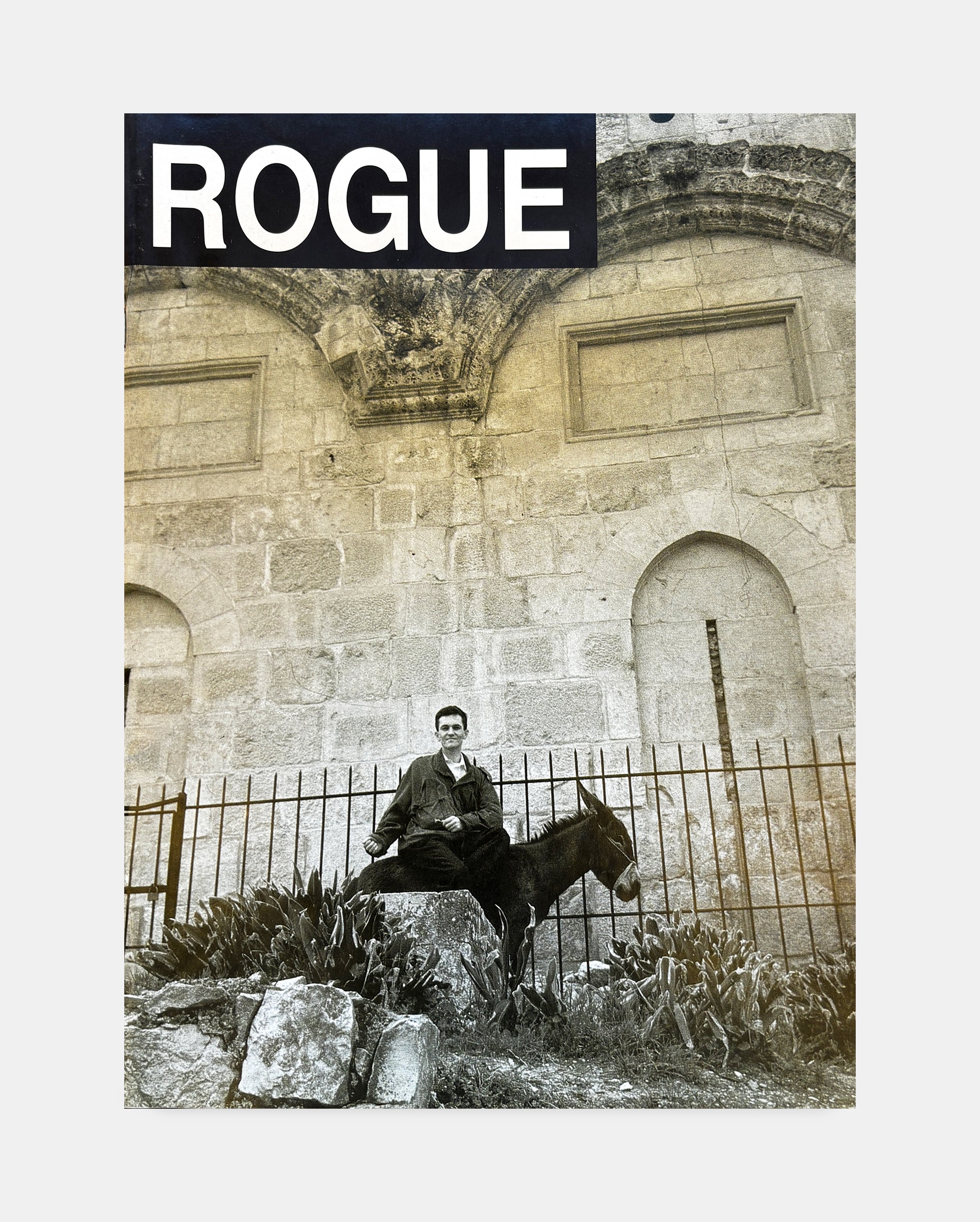 A man sitting on a donkey in front of a stone building with a sign that reads 'ROGUE' and a small garden with plants and rocks in the foreground.