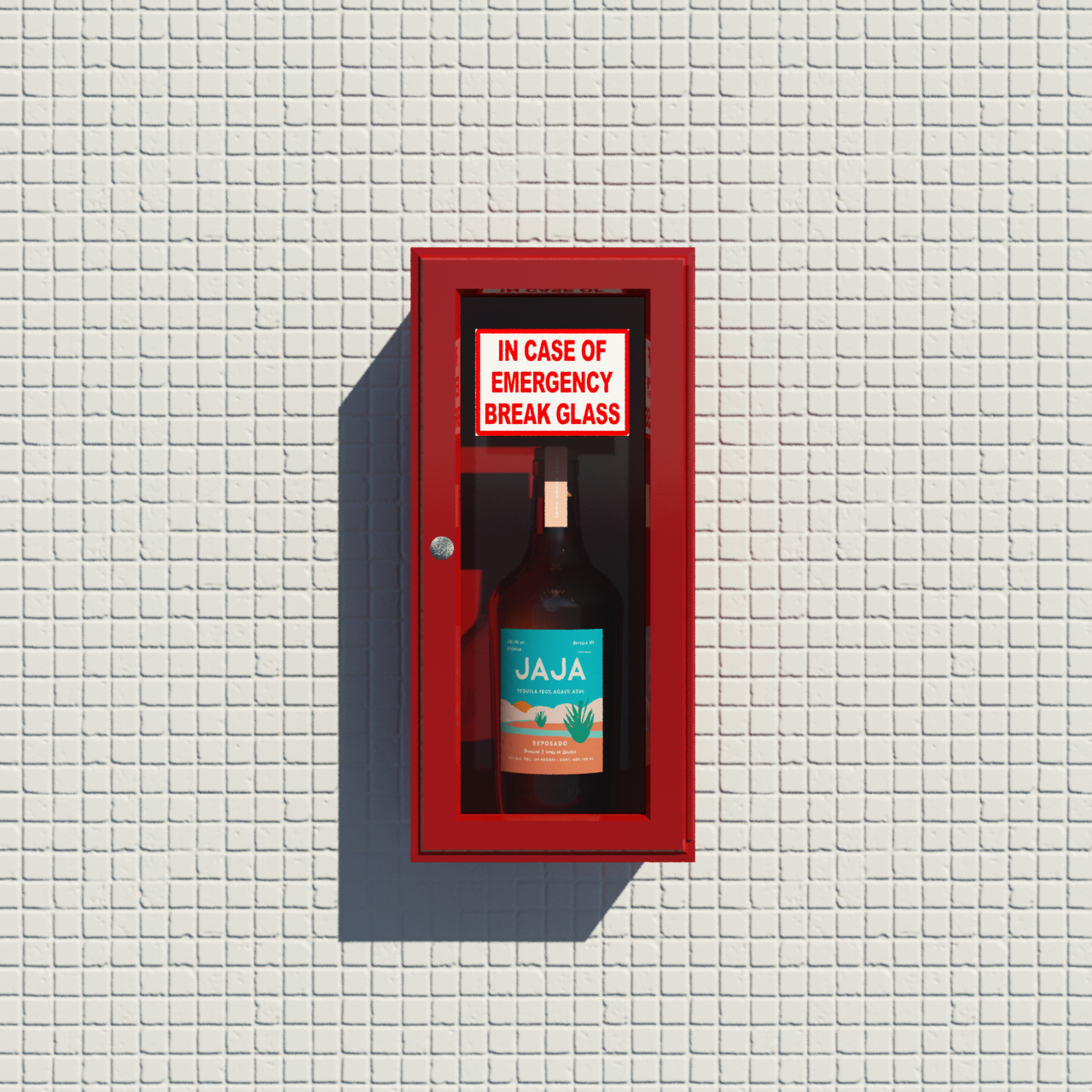 in+case+of+emergency+edited.webp