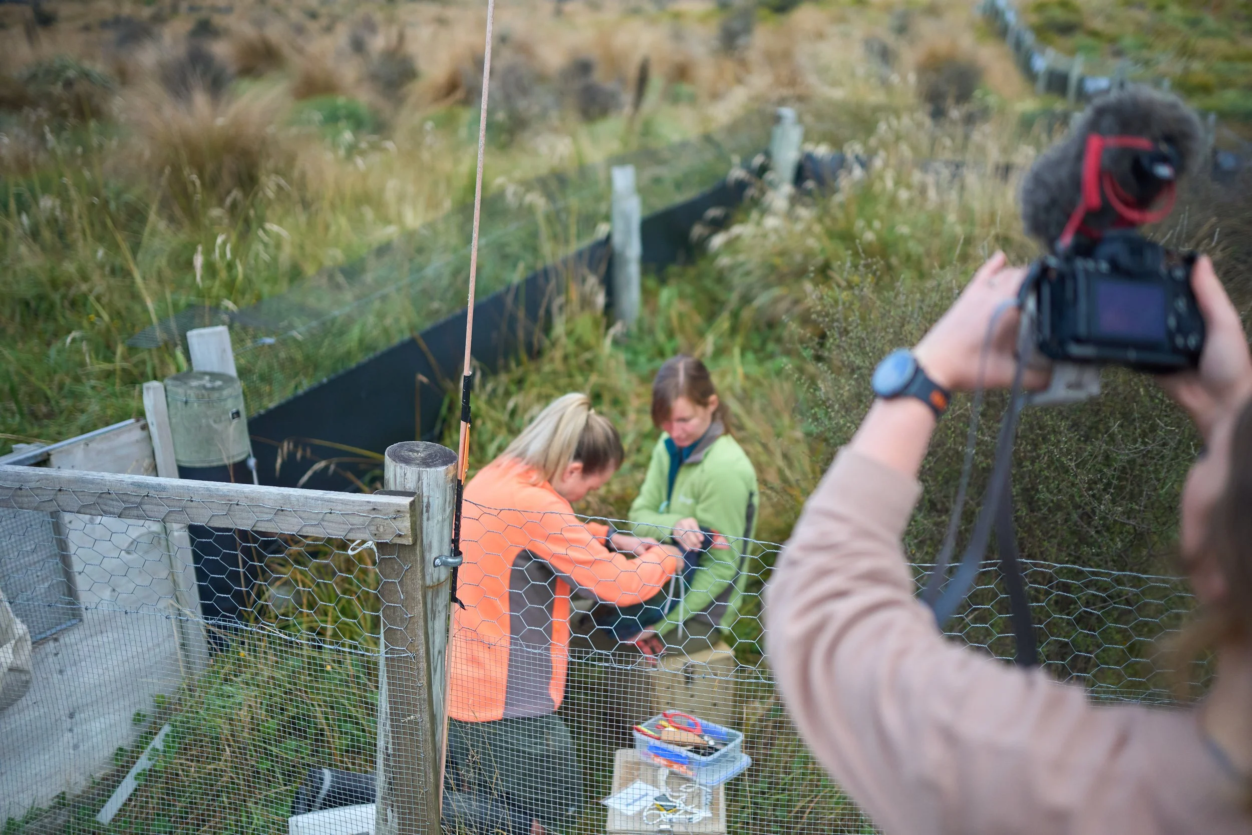 New Zealand Department of Conservation