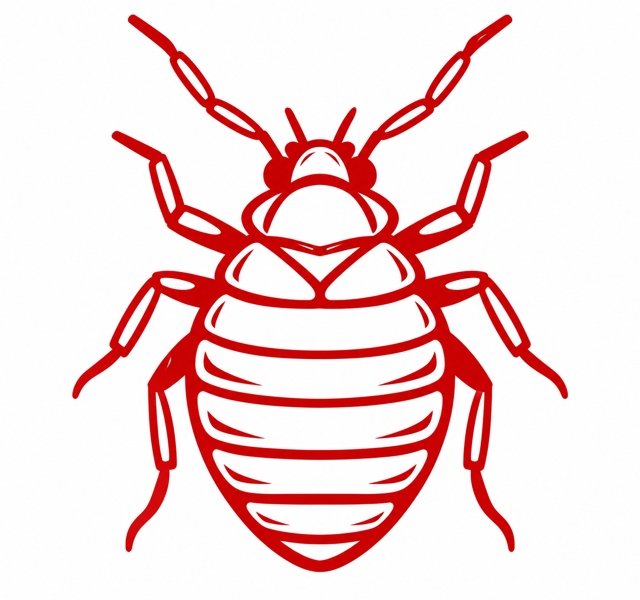 Bed Bug Treatment