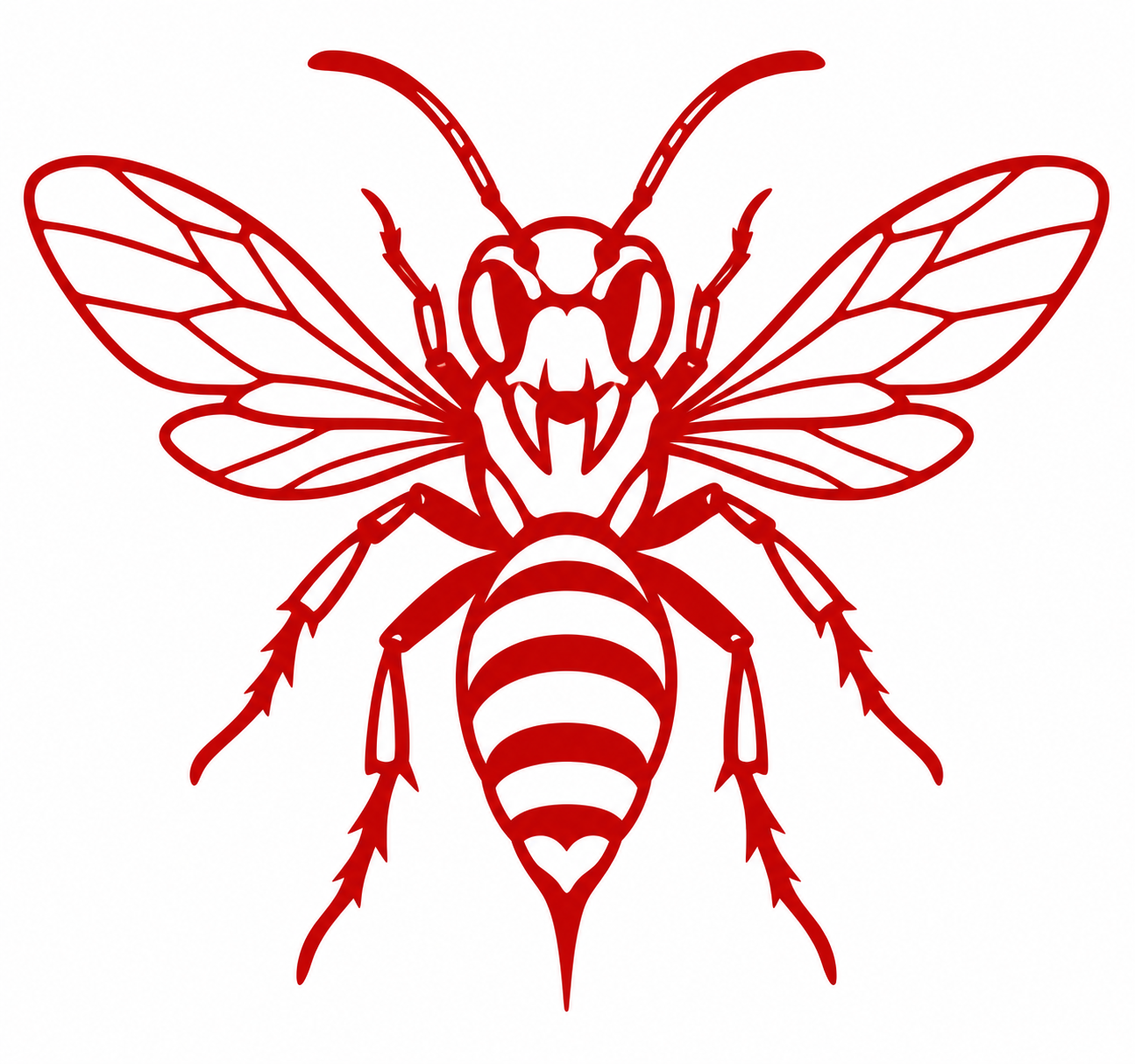 Hornet and Wasp Removal