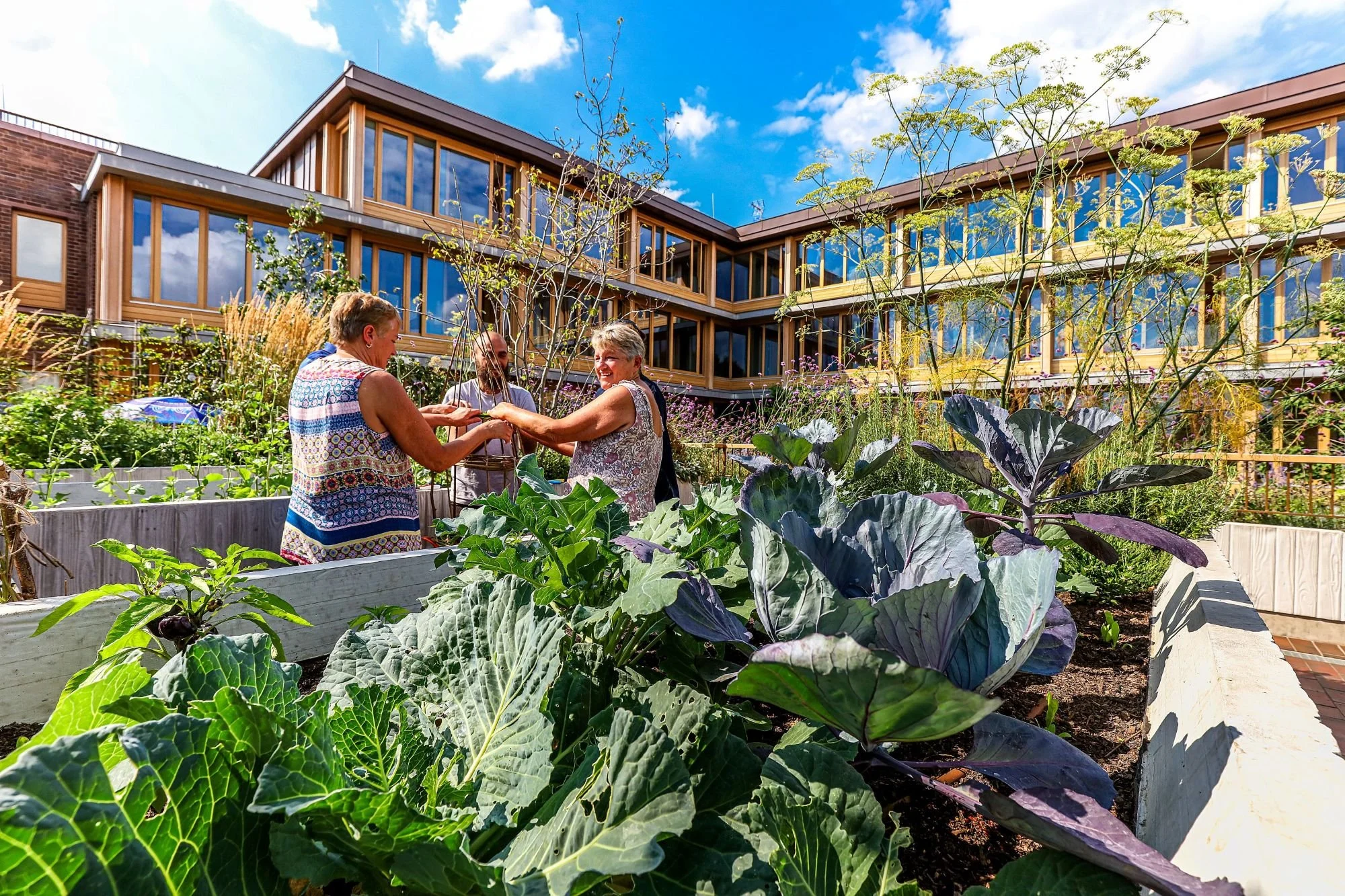 Three women are standing in a community garden, holding hands and smiling at each other, with a multi-story building with large windows and a blue sky with clouds in the background. The garden has lush green plants and vegetables.