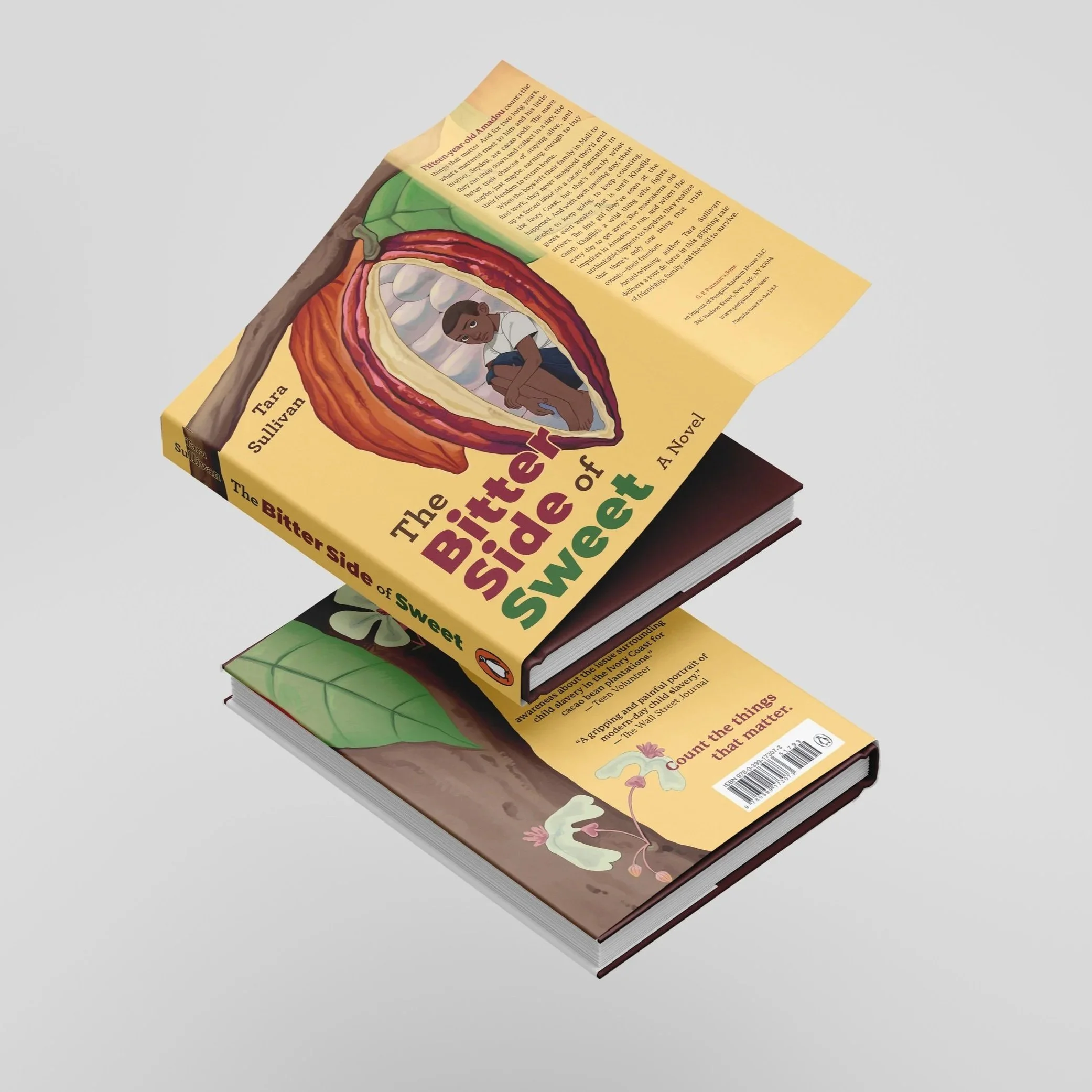 McNeilly_TBSOS_Mockup_RedesignCover.jpg