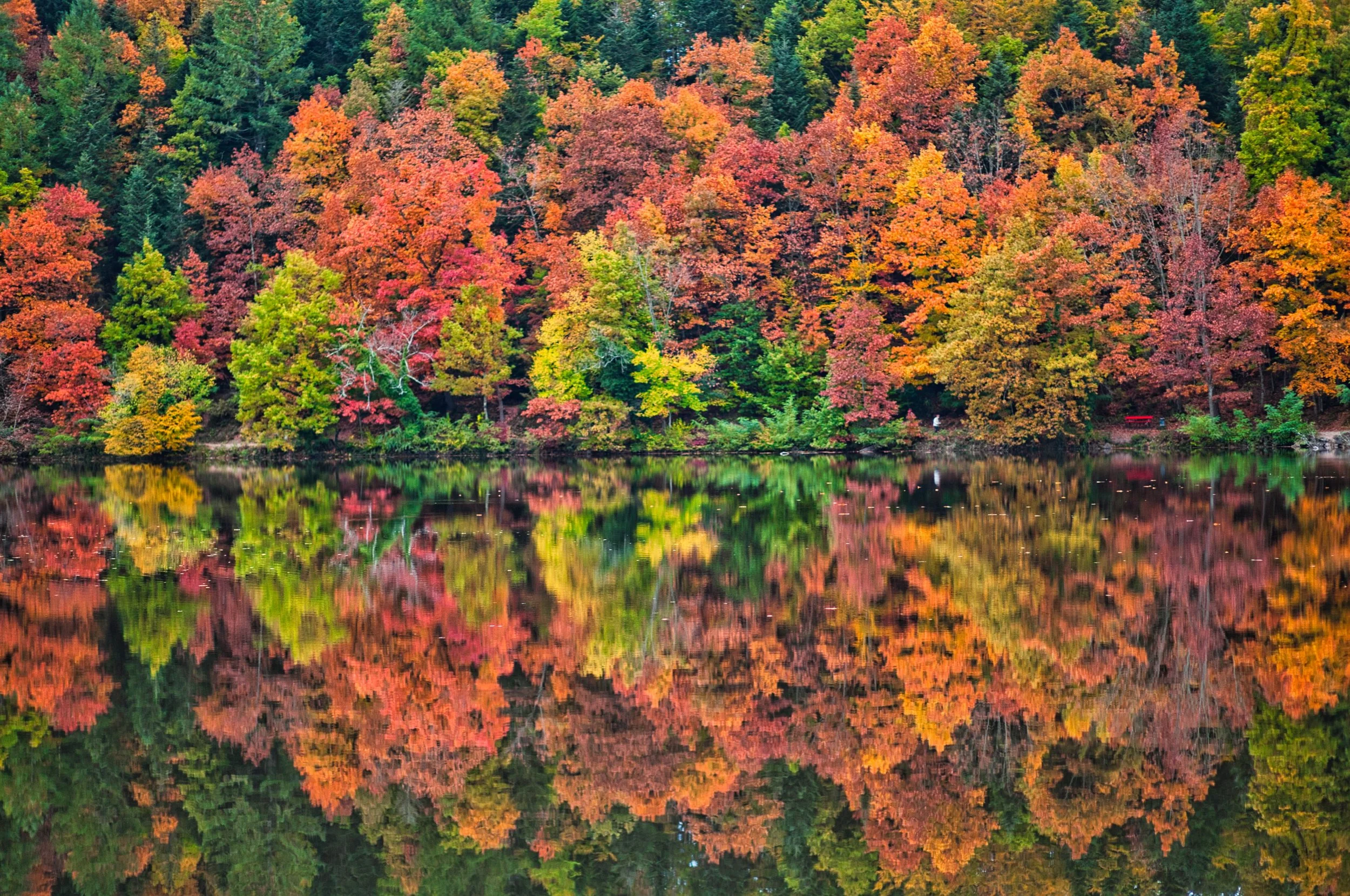 Bergsee Bad Säckingen