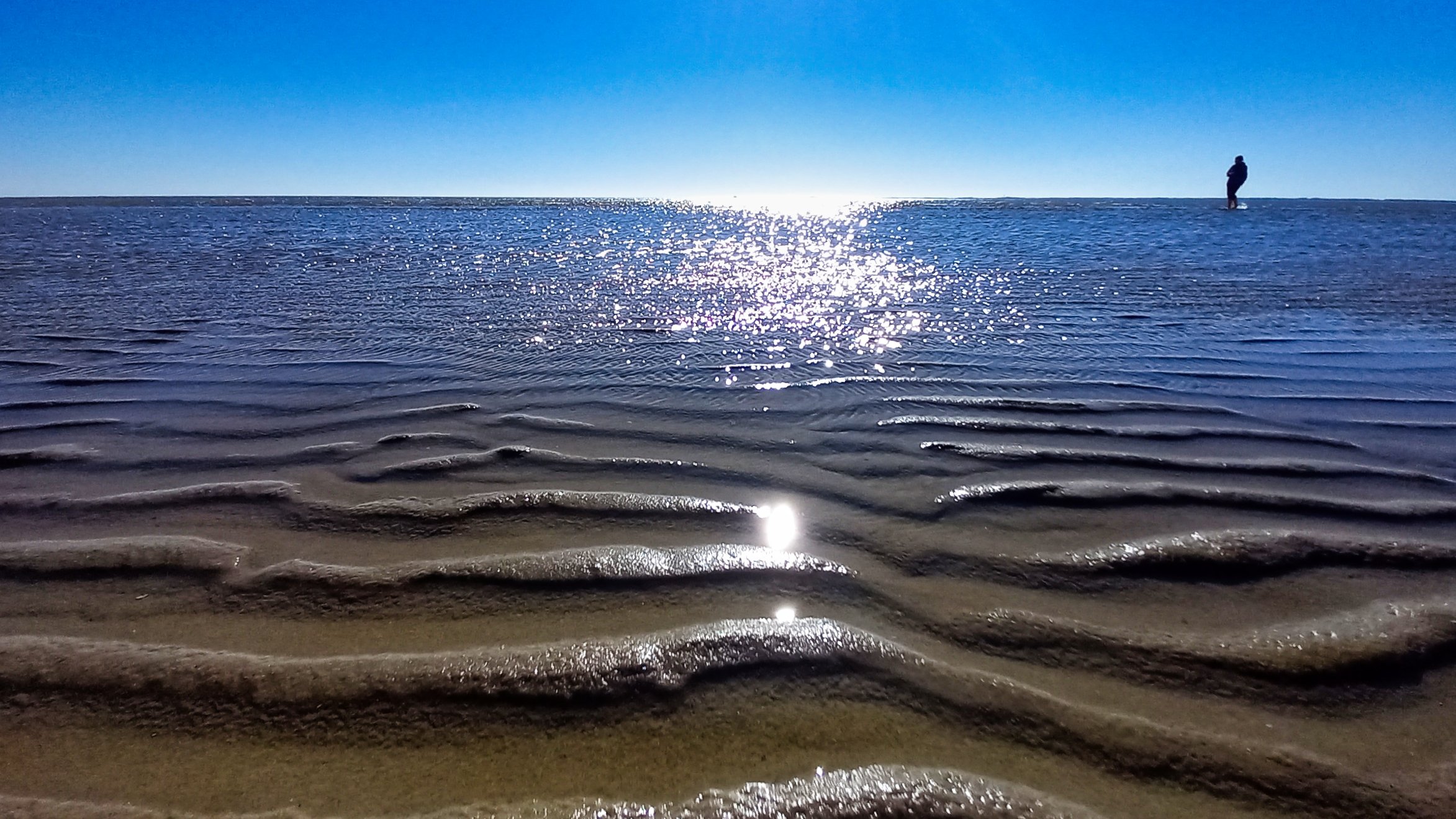 Wattwandern auf Föhr