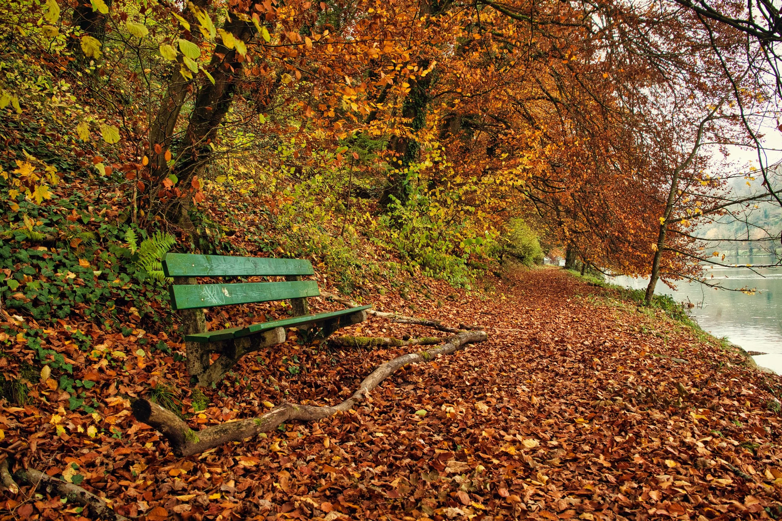 Herbstimpression
