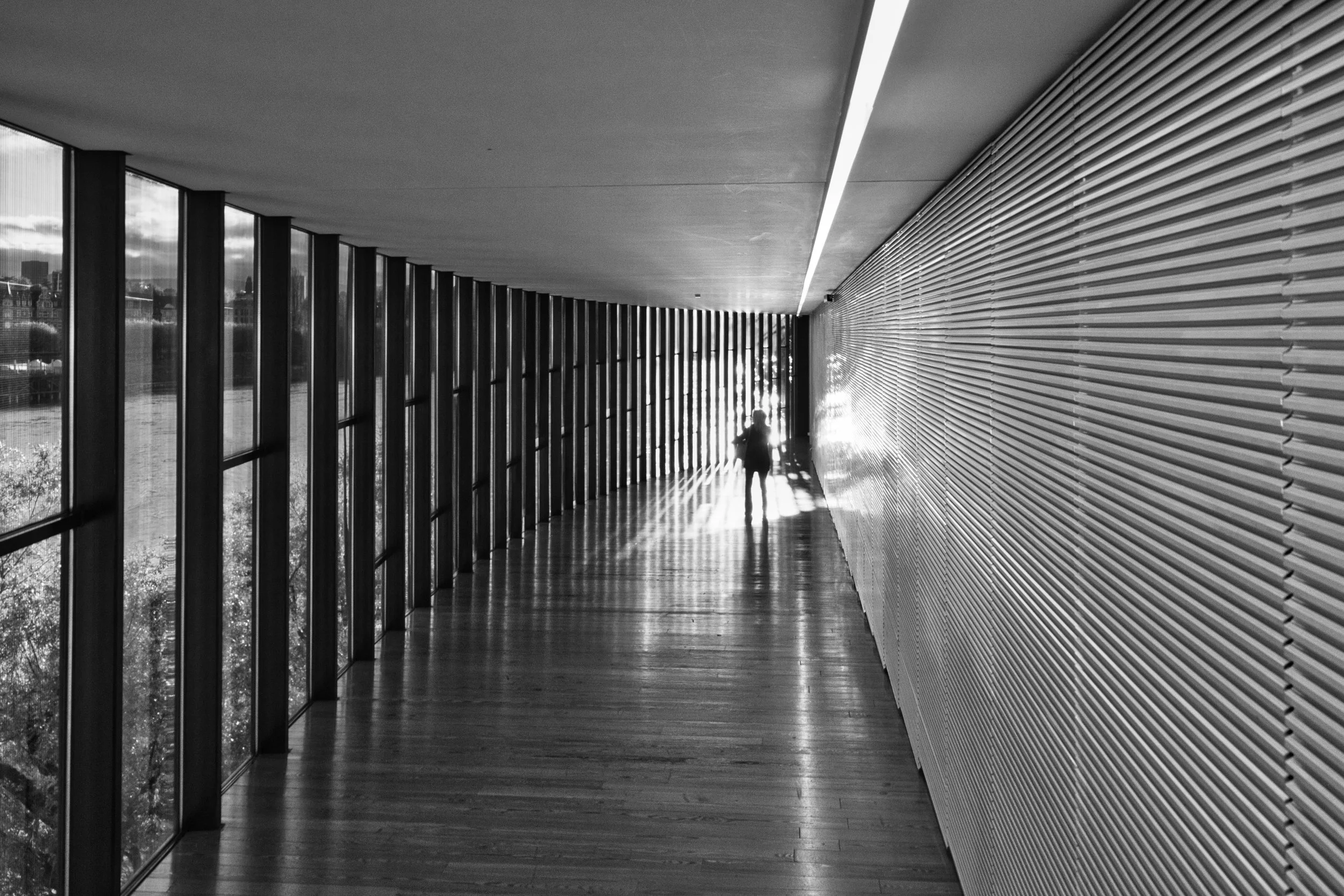 Schattenspiel