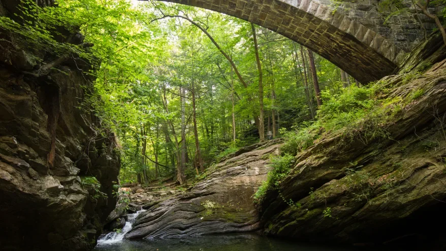A stone bridge over a rocky creek in a green forest.